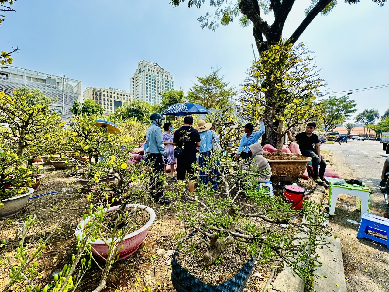 Trưa nay tại chợ hoa nhà giàu ‘khách sộp’ chốt đơn tiền tỉ- Ảnh 3.