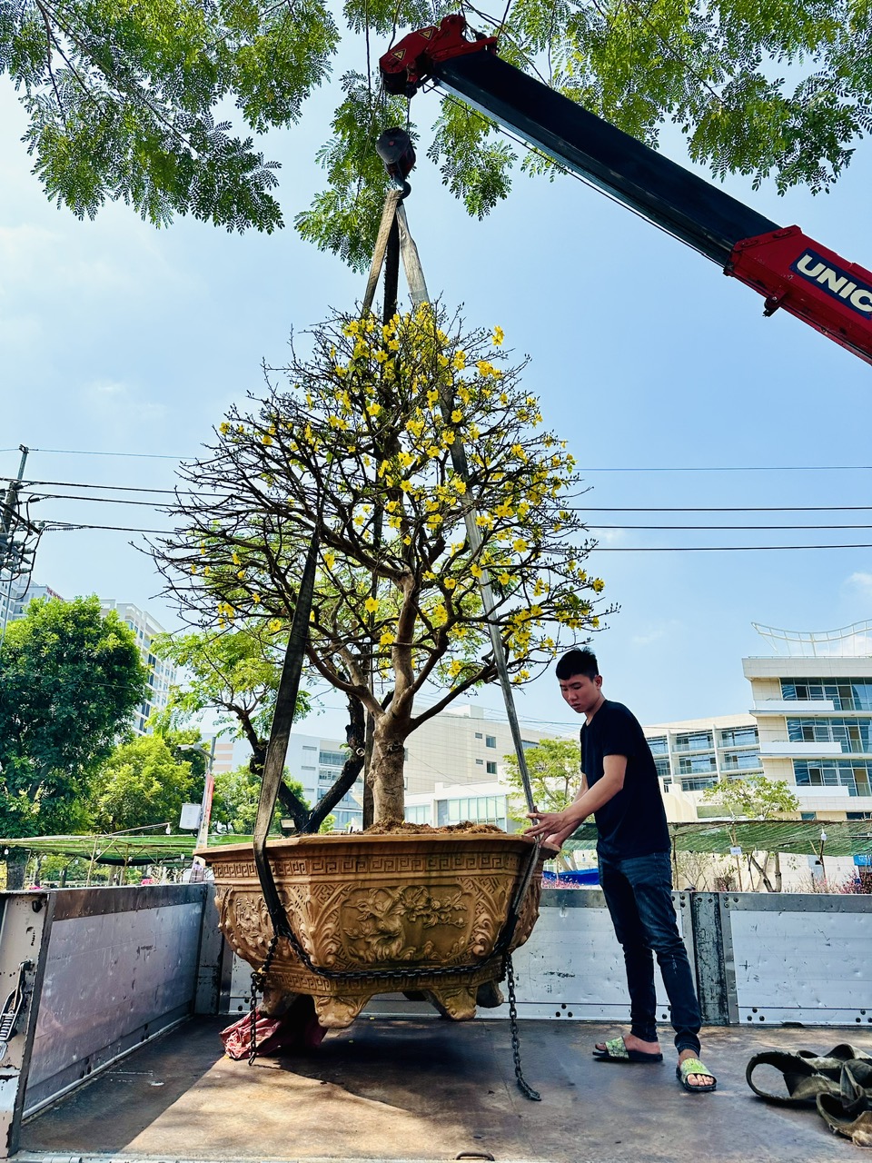 Trưa nay tại chợ hoa nhà giàu ‘khách sộp’ chốt đơn tiền tỉ- Ảnh 1.