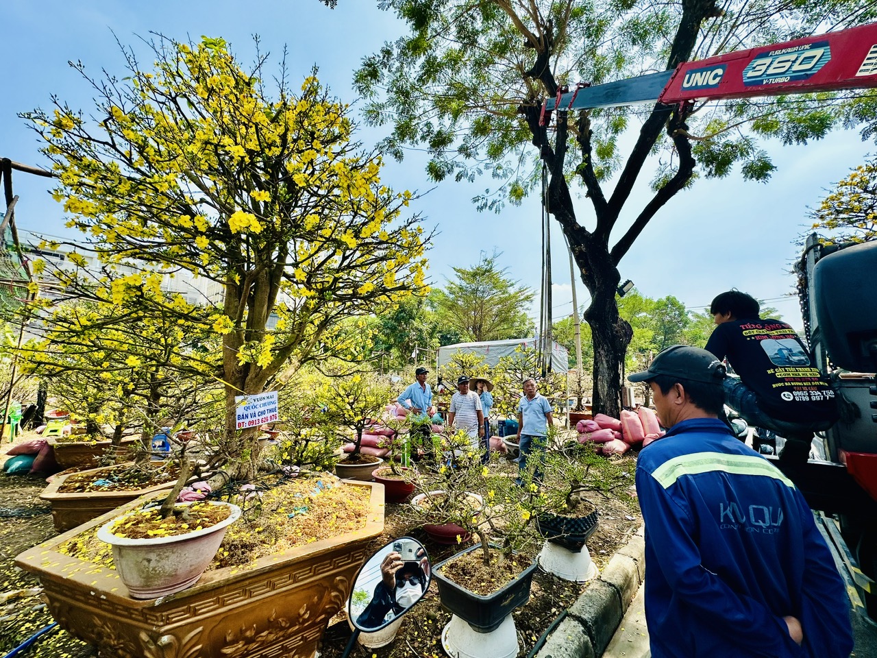 Trưa nay tại chợ hoa nhà giàu ‘khách sộp’ chốt đơn tiền tỉ- Ảnh 2.