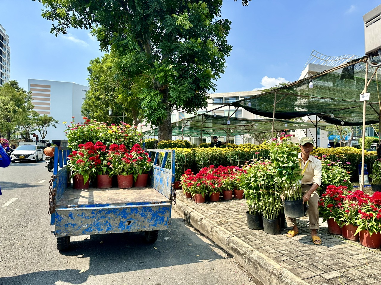 Trưa nay tại chợ hoa nhà giàu ‘khách sộp’ chốt đơn tiền tỉ- Ảnh 14.