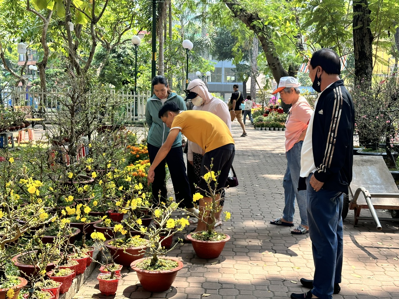 Nhà vườn chủ động hạ giá hoa, mong khách mua sớm để về đón tết- Ảnh 10.