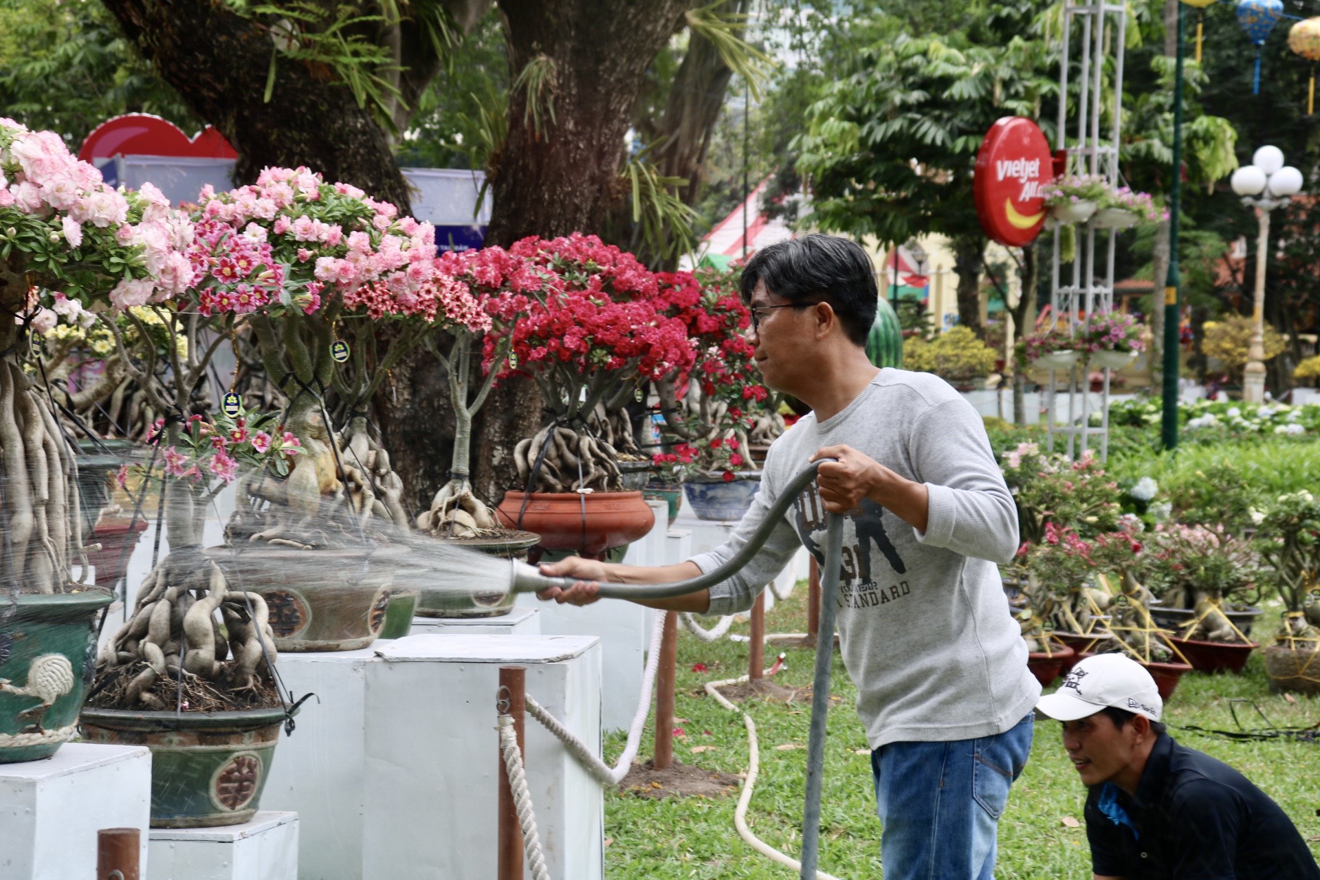 Hội hoa xuân TP.HCM rực rỡ trước ngày khai mạc, sẵn sàng đón người dân tham quan- Ảnh 6.