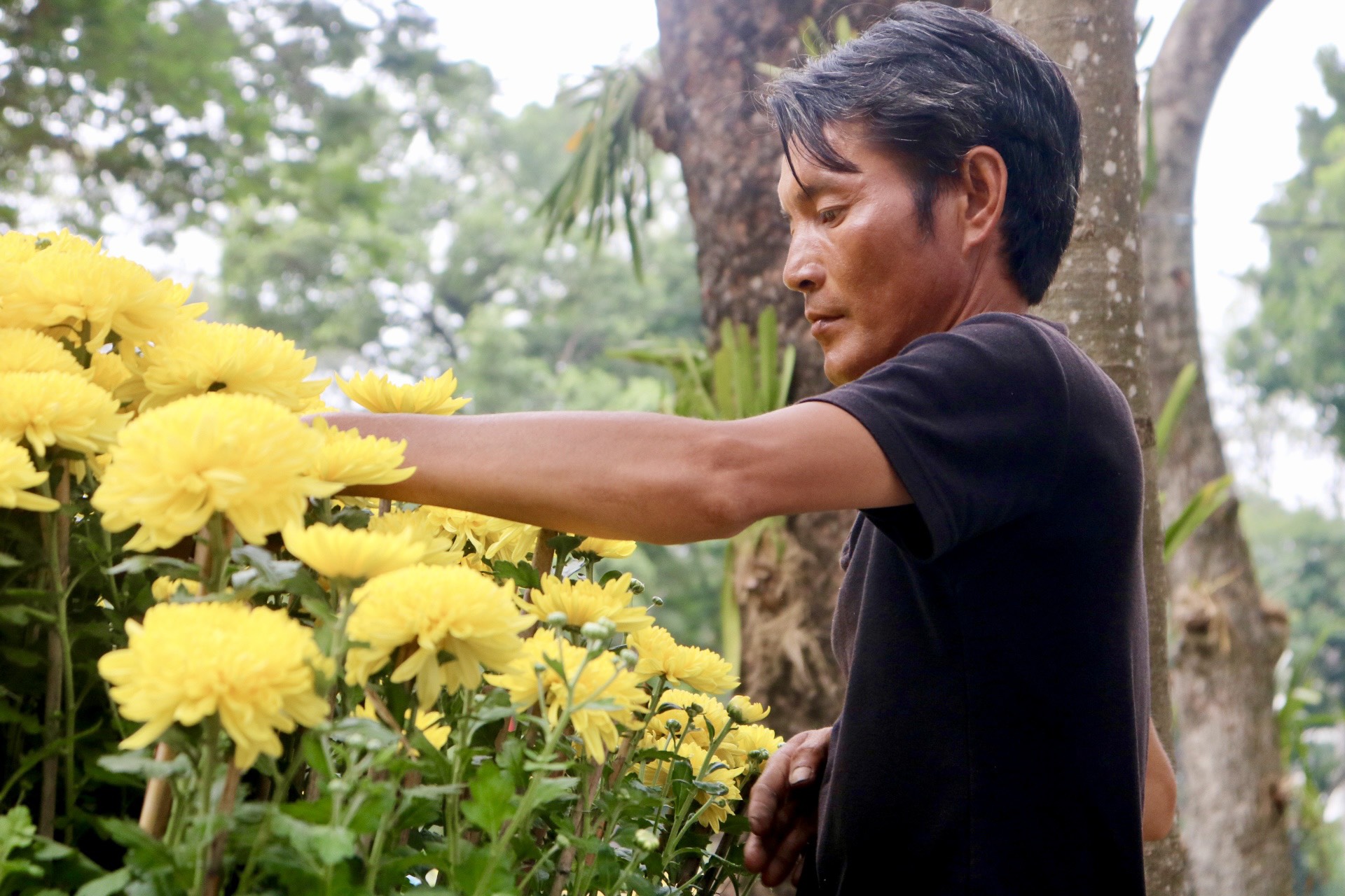 Hội hoa xuân TP.HCM rực rỡ trước ngày khai mạc, sẵn sàng đón người dân tham quan- Ảnh 11.