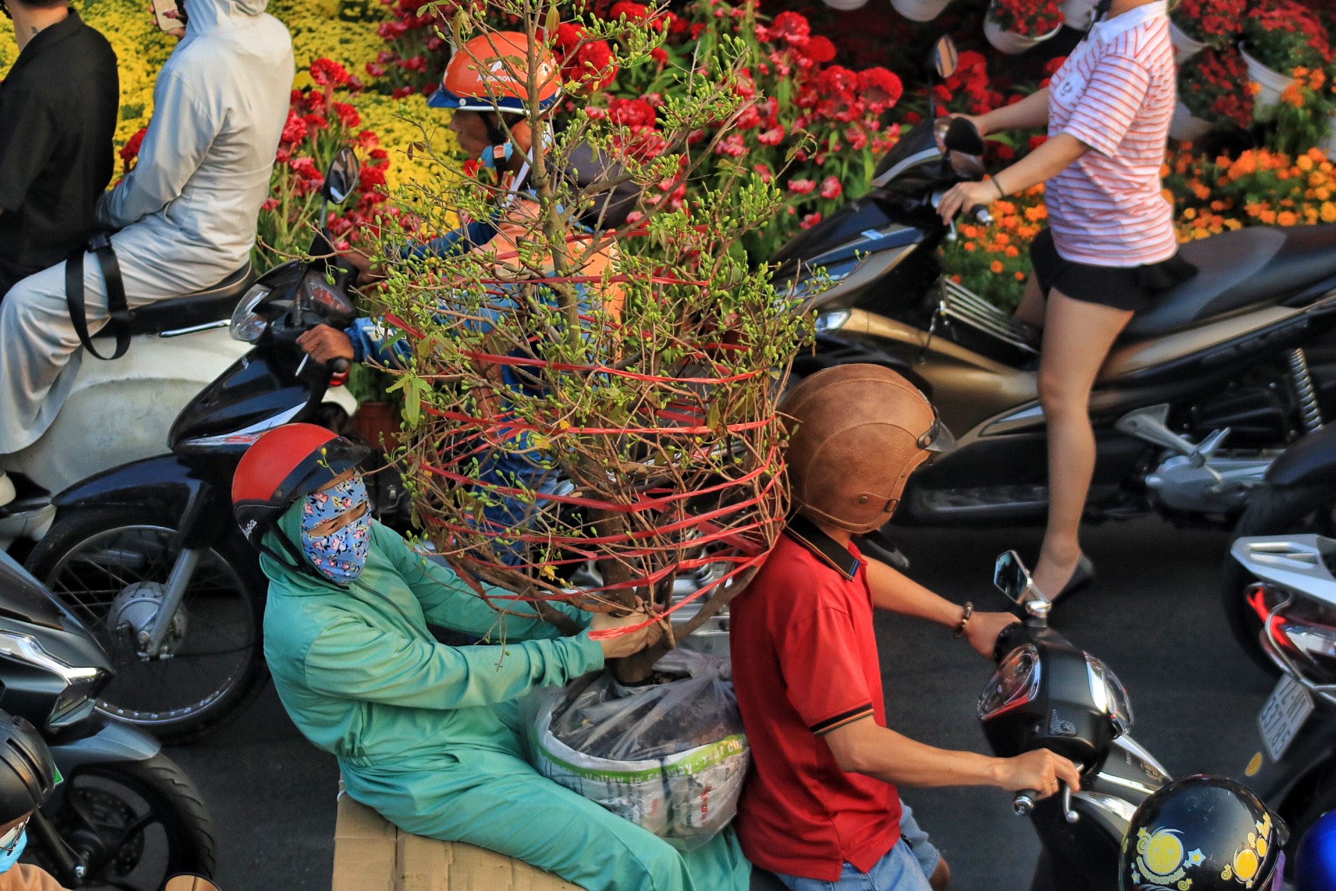 26 tết, chợ hoa xuân Trên bến dưới thuyền chật kín người: 'Đông không tưởng luôn!'- Ảnh 5.