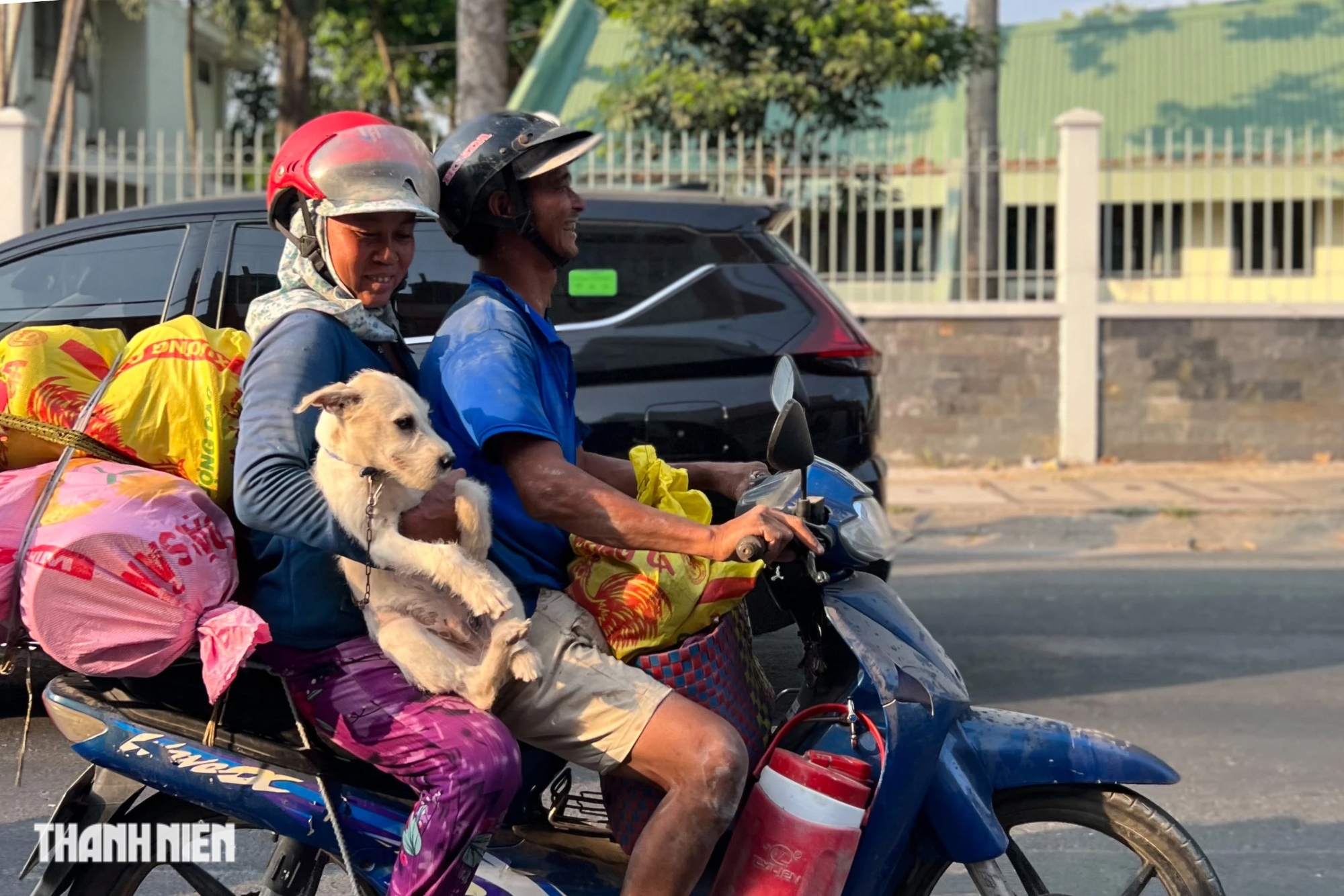 Vì sao nhiều người 'chịu khổ' đưa thú cưng về quê ăn tết?- Ảnh 3.