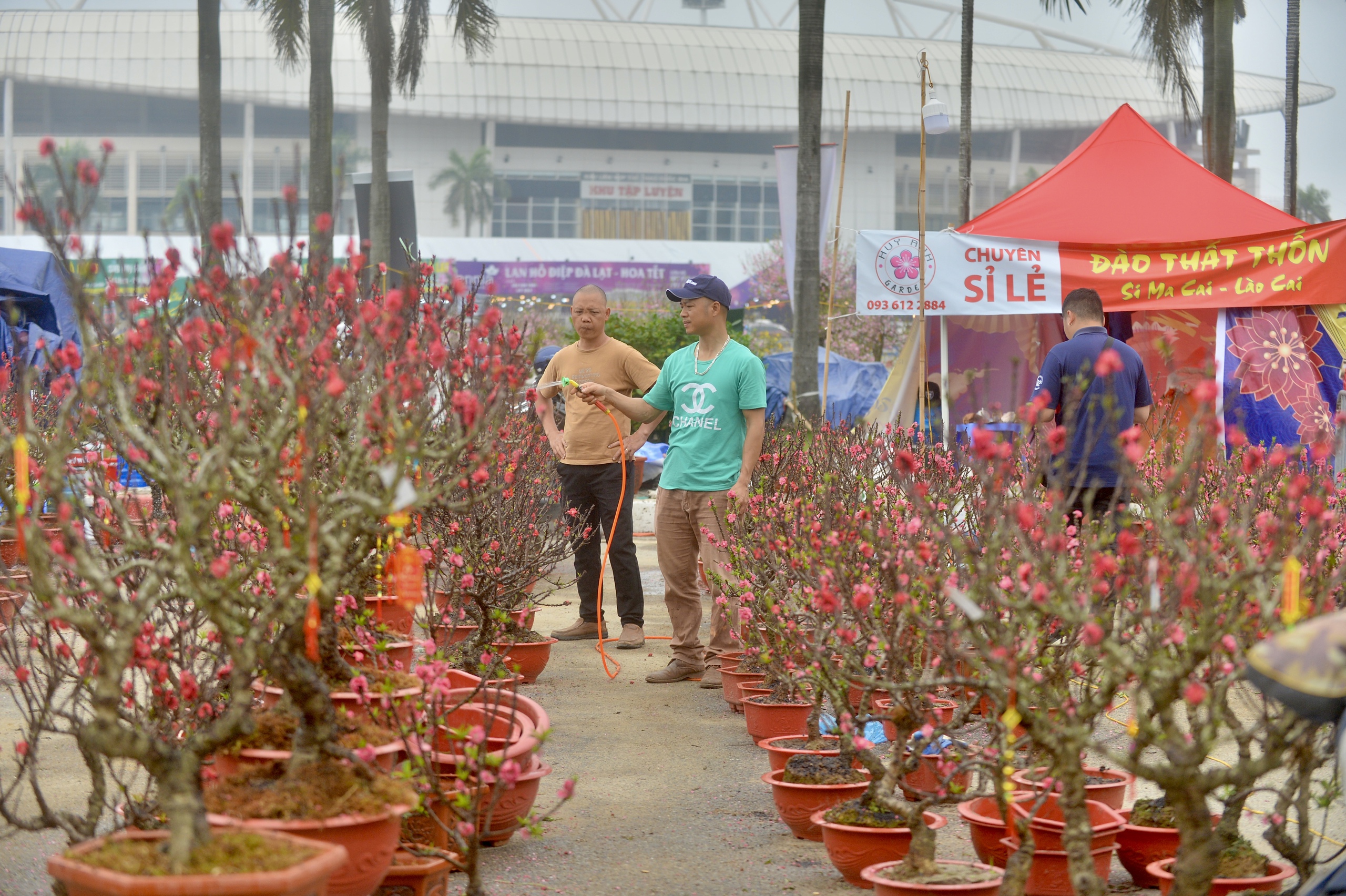 Chưa đến 30 tết, tiểu thương buôn đào, mai đã xả hàng, 'giá nào cũng bán'- Ảnh 12.