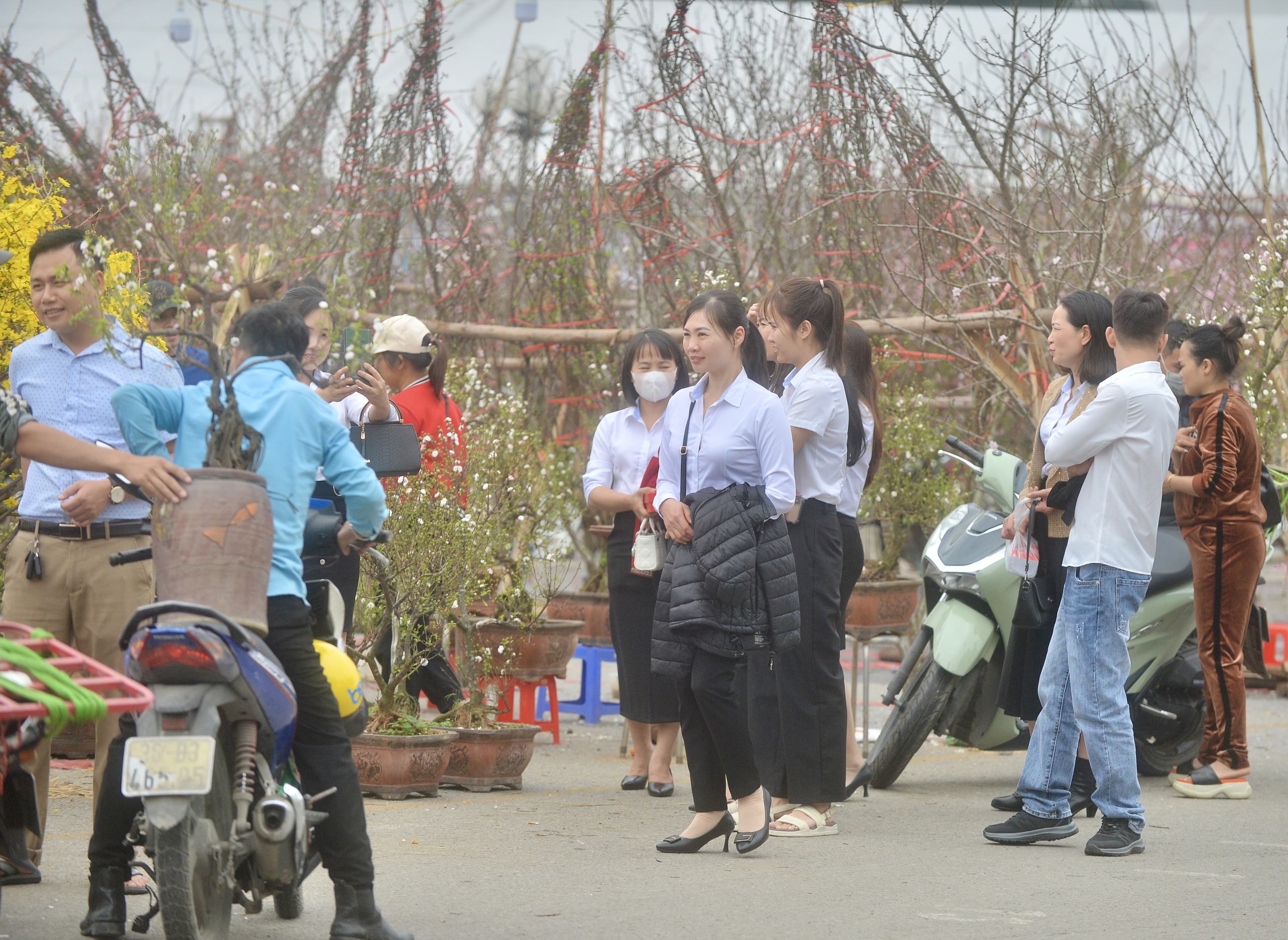 Chưa đến 30 tết, tiểu thương buôn đào, mai đã xả hàng, 'giá nào cũng bán'- Ảnh 1.