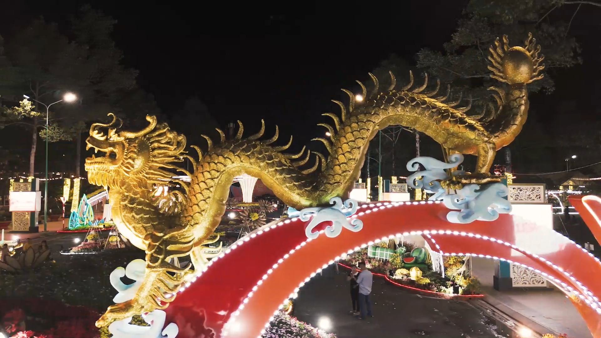 Cặp đôi rồng vàng ấn tượng ở Bình Phước: Người dân khen ‘đẹp hơn trên mạng’ - Ảnh 1.