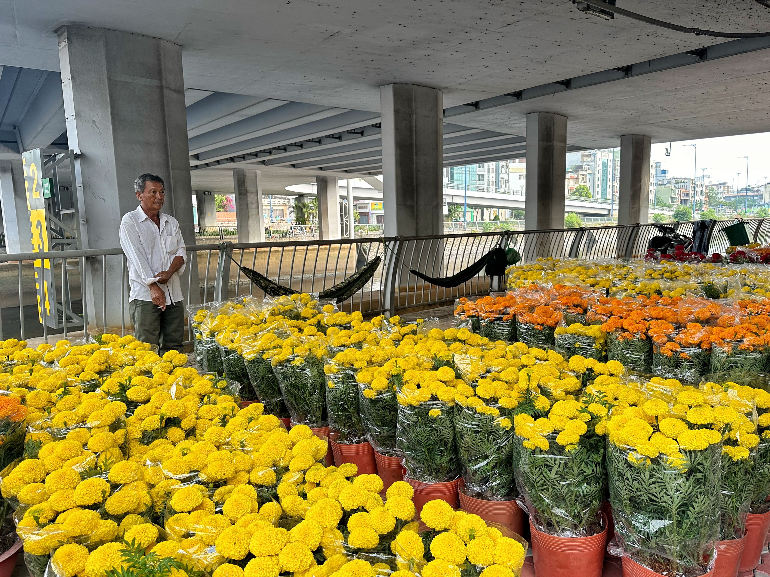 30 tết, nhiều chợ hoa TP.HCM vẫn hoa là hoa: Người buồn, người không mùa xuân- Ảnh 3.