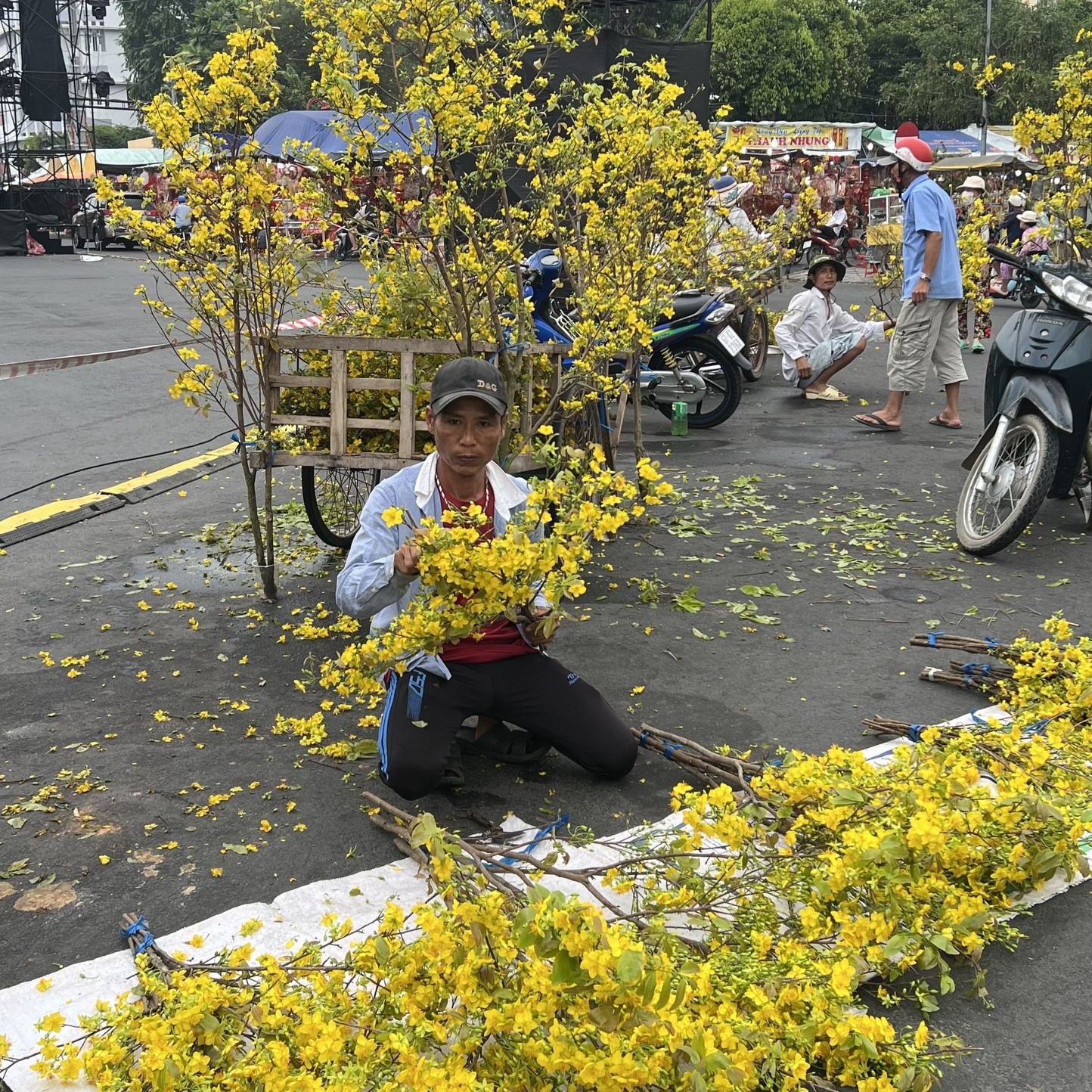 Thi ảnh Khát vọng năm rồng: Độc đáo phiên chợ chỉ bán nhánh mai vàng- Ảnh 3.