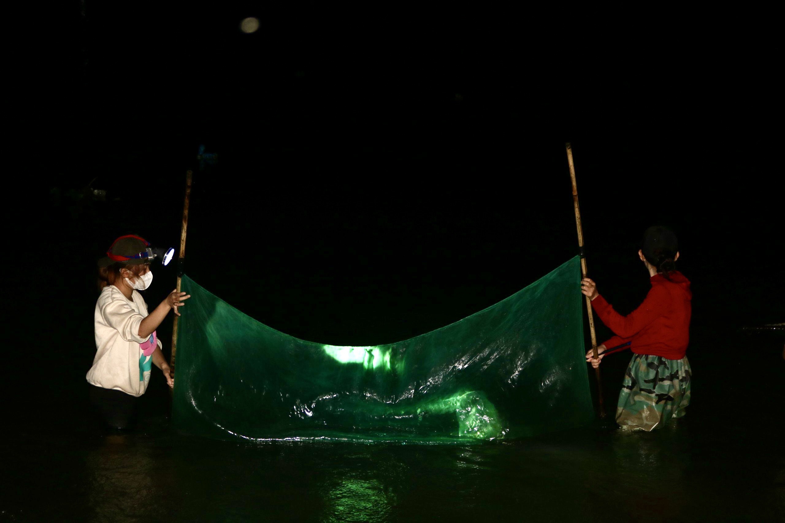 Thi ảnh Khát vọng năm rồng: Xuyên tết săn chình giống trên đập Tam Giang- Ảnh 4.