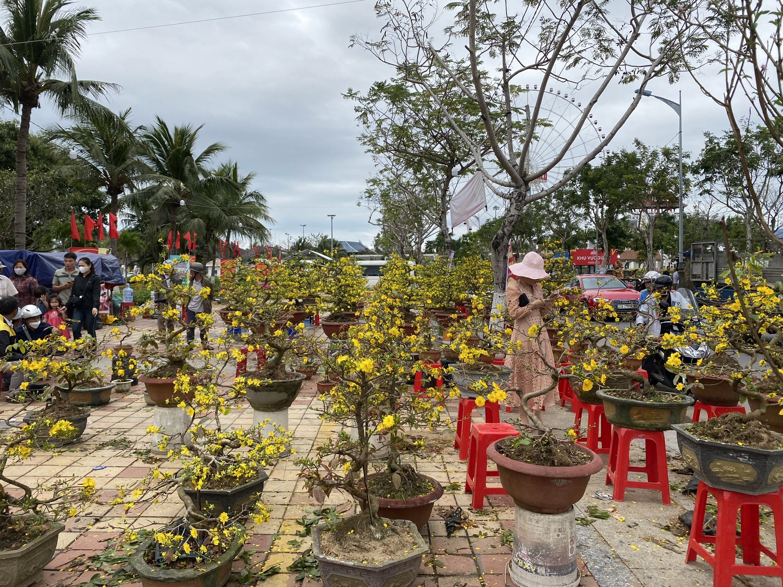 Người bán hoa tết ở Đà Nẵng thất thần vì 'ế ẩm chưa từng thấy'- Ảnh 5.