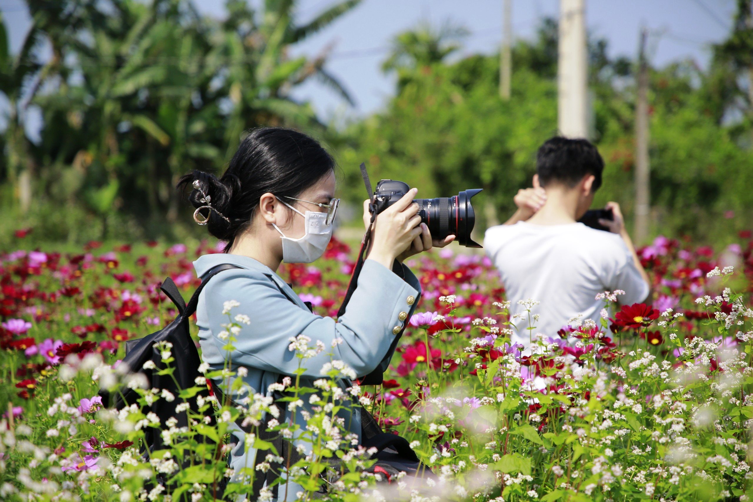 Check-in vườn hoa tam giác mạch Quảng Nam, ngỡ ‘lạc’ đến Hà Giang- Ảnh 8.