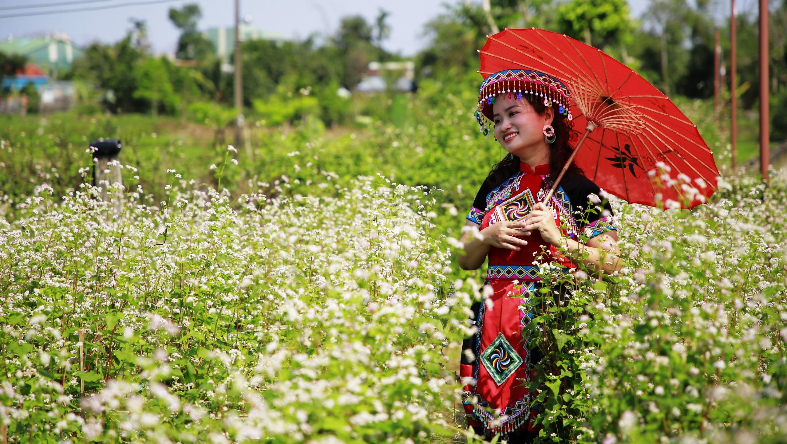 Check-in vườn hoa tam giác mạch Quảng Nam, ngỡ ‘lạc’ đến Hà Giang- Ảnh 7.