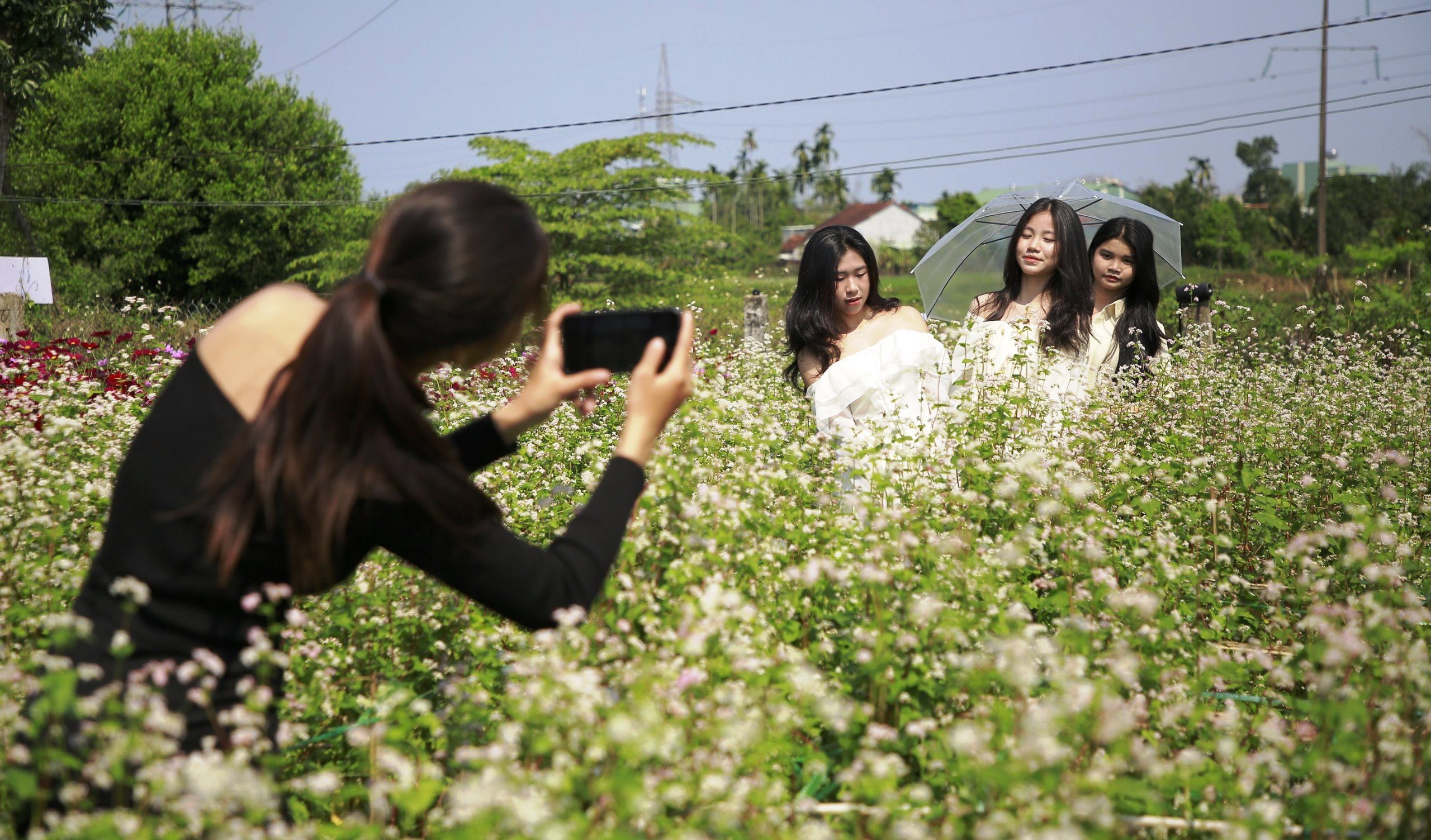 Check-in vườn hoa tam giác mạch Quảng Nam, ngỡ ‘lạc’ đến Hà Giang- Ảnh 4.
