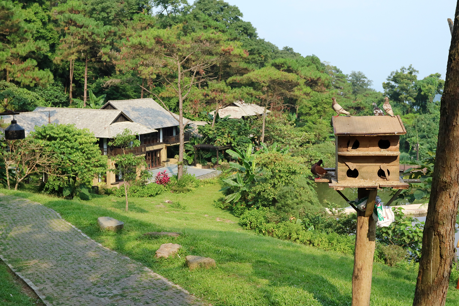 Resor ideal yang harus dicoba wisatawan saat bepergian ke Utara - Foto 1. Nơi nghỉ dưỡng lý tưởng mà du khách nên trải nghiệm khi du lịch miền Bắc- Ảnh 1.