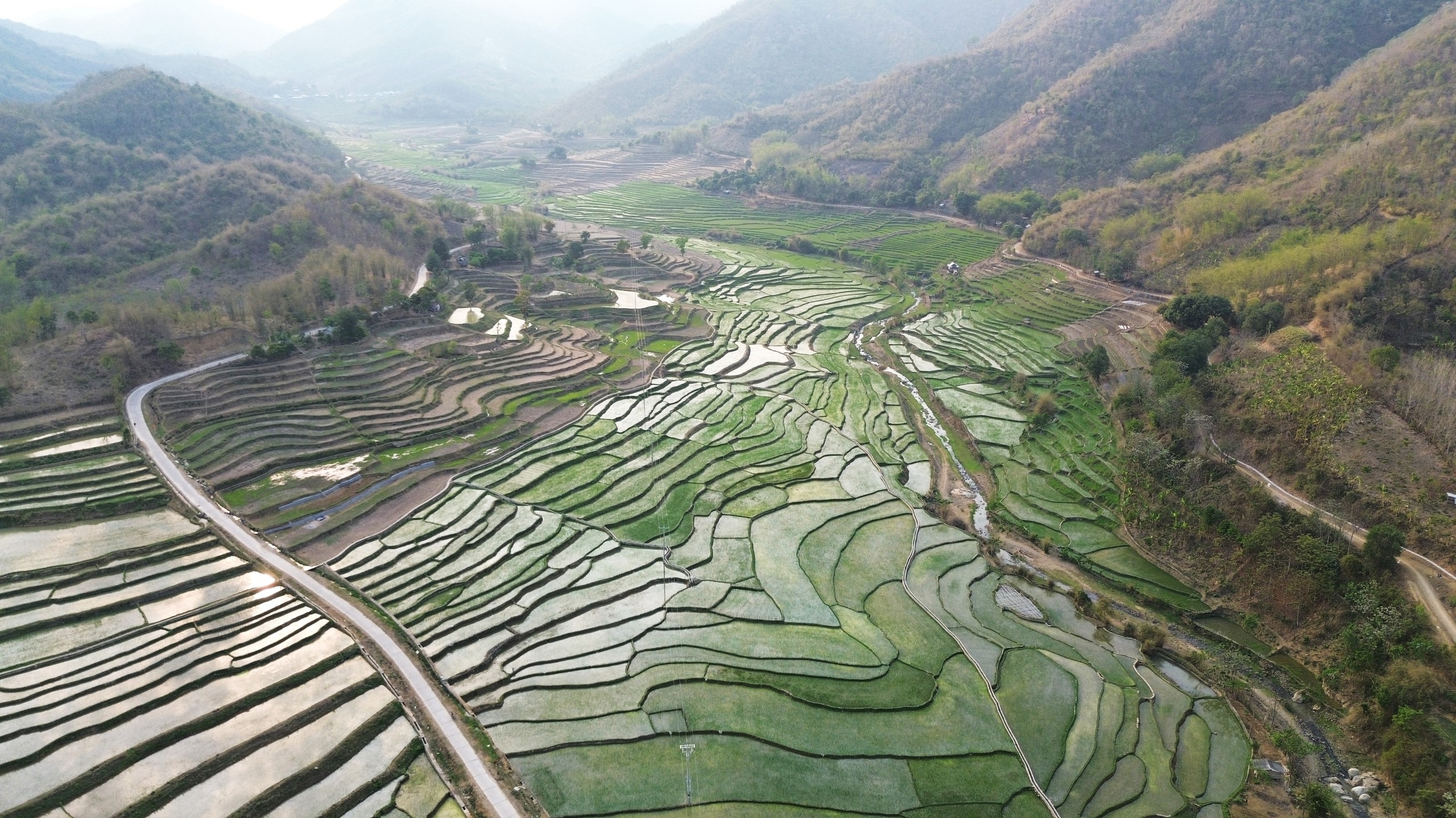 Xanh mướt những cánh ruộng bậc thang trên cổng trời Mường Lát- Ảnh 1.