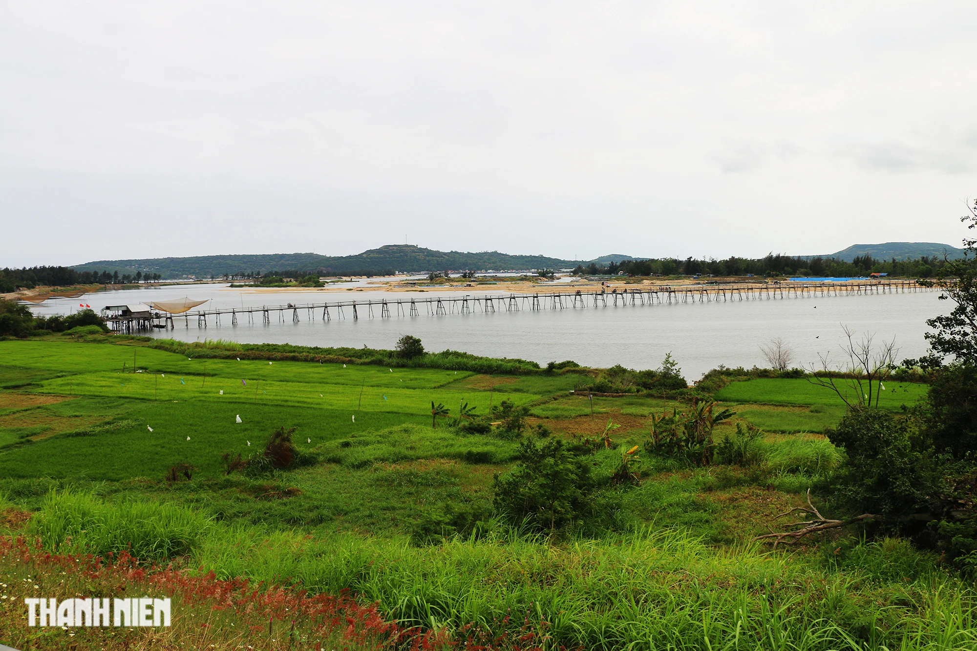 Độc lạ cây cầu gỗ dài gần 1 km bắc qua sông Bình Bá- Ảnh 2.