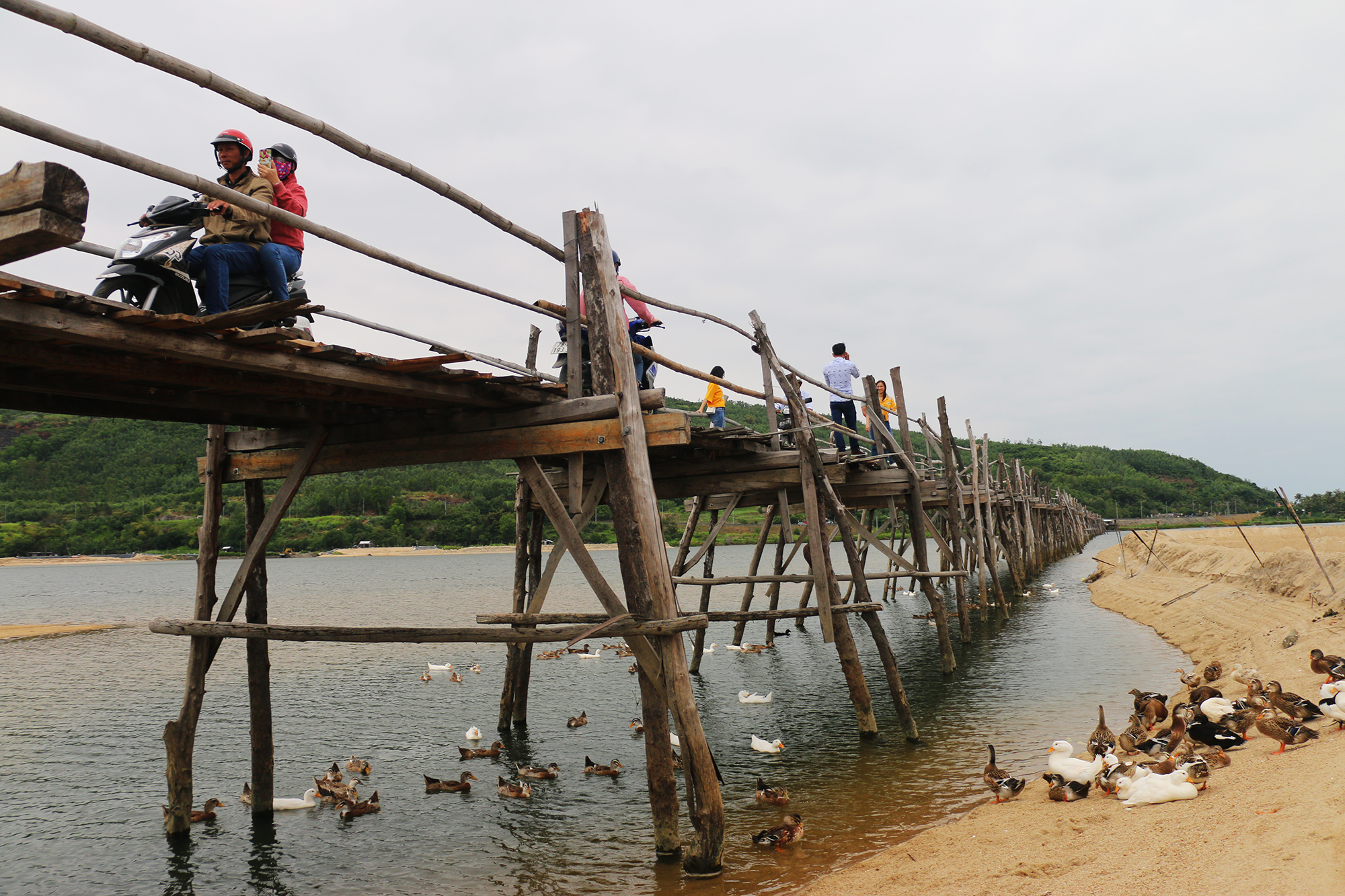 Độc lạ cây cầu gỗ dài gần 1 km bắc qua sông Bình Bá- Ảnh 4.