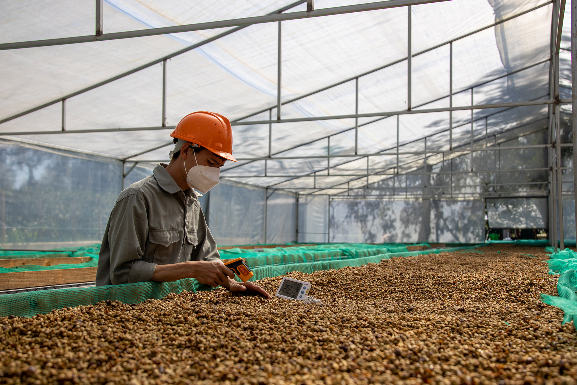 Việt Nam đang thay đổi "gu" cà phê thế giới- Ảnh 10.