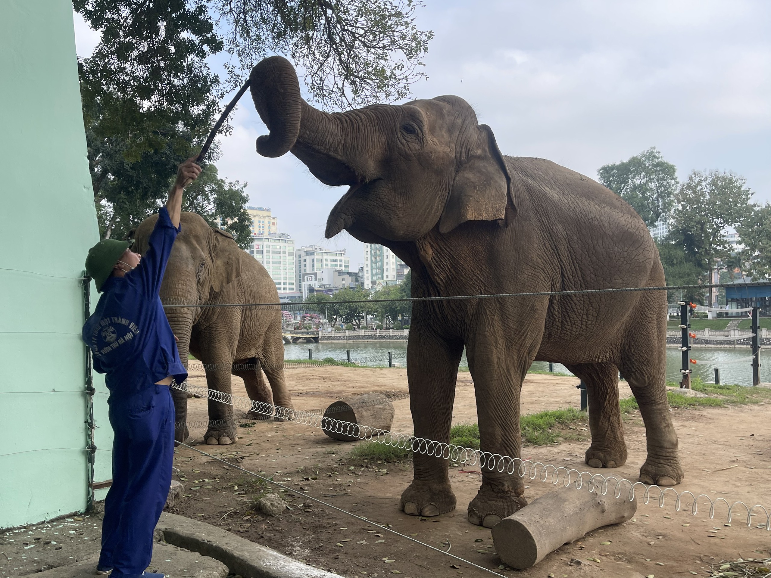 Vườn thú Hà Nội bị chê 'tồi tệ', thực tế bên trong thế nào?- Ảnh 3.