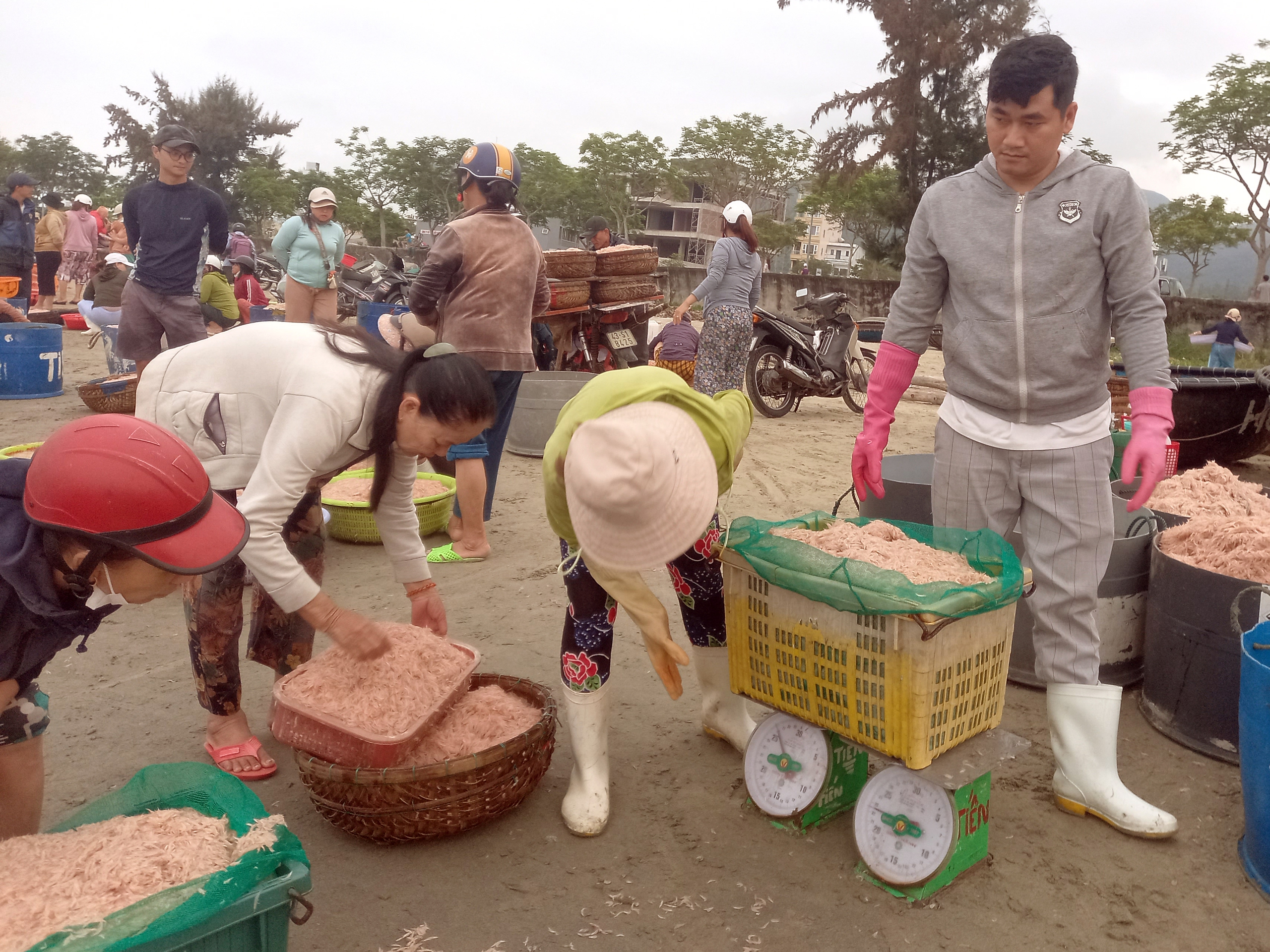 Được đãi lộc biển, ngư dân vớt ruốc mỏi tay tăng thu nhập đáng kể- Ảnh 5.