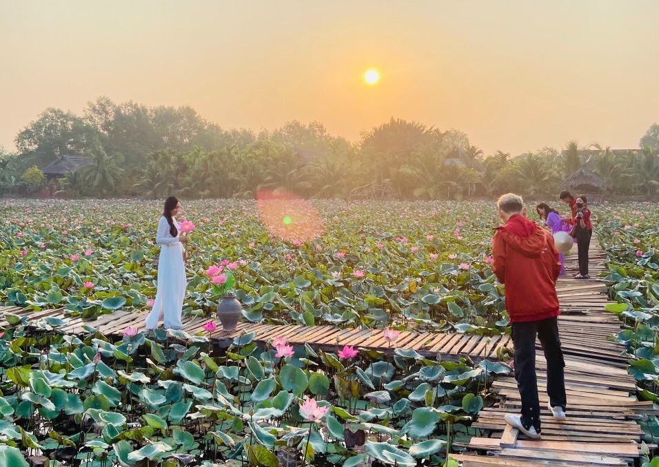 Je tam lotosové jezírko o rozloze tisíců metrů čtverečních v plném květu, které čeká na návštěvu - Foto 3. Có một đầm sen rộng hàng ngàn mét vuông nở rộ, chờ mọi người đến check-in- Ảnh 3.