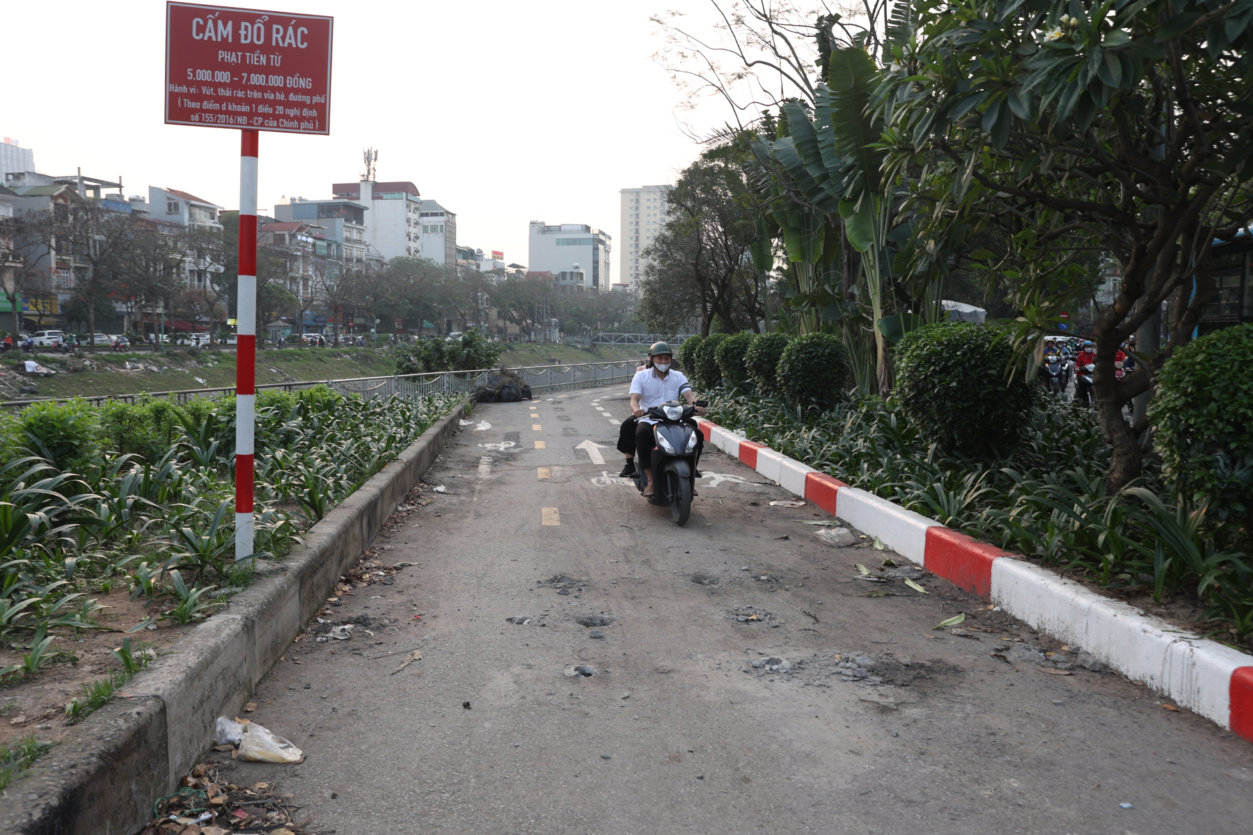 Hàng rào bỗng biến mất, xe máy 'lao' vào đường dành riêng cho xe đạp- Ảnh 8.