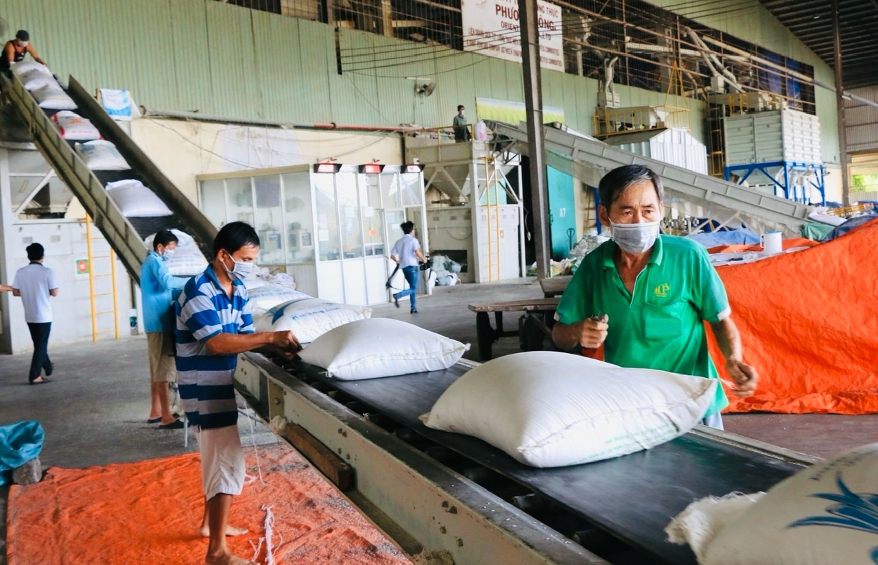 ‘ยักษ์ใหญ่’ ของโลกเพิ่มการนำเข้า ข้าวเวียดนามจะราคาพุ่งสูงหรือไม่? - ภาพที่ 1 'Ông lớn' thế giới tăng nhập, giá gạo Việt sẽ tăng mạnh?- Ảnh 1.