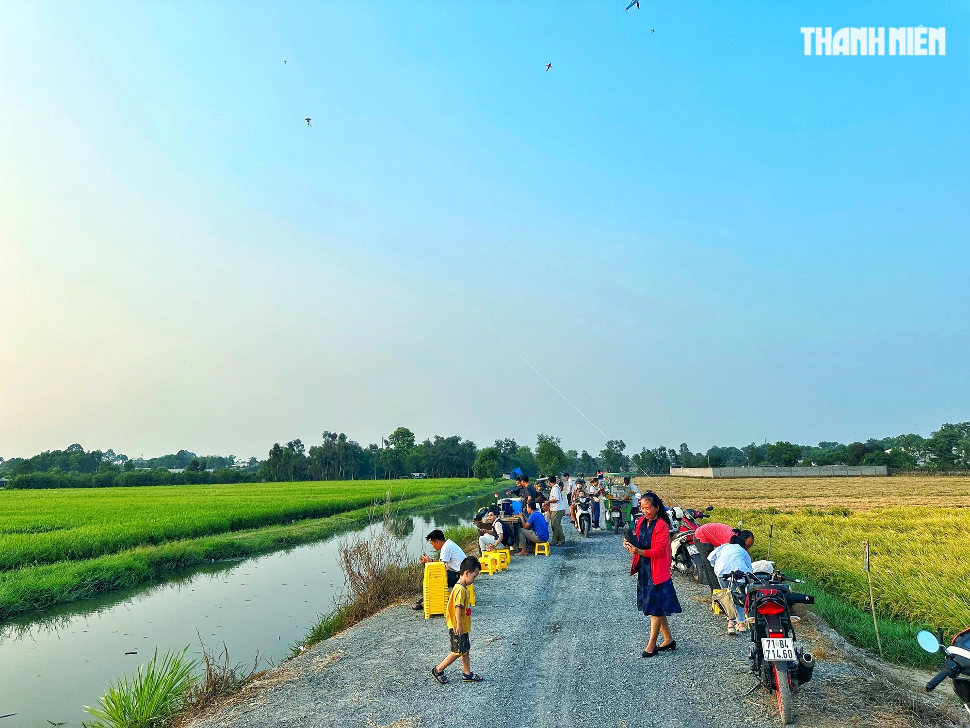 Cà phê ở TP.HCM ngắm hoàng hôn giữa đồng lúa 'bên xanh mướt, bên chín vàng'- Ảnh 2.