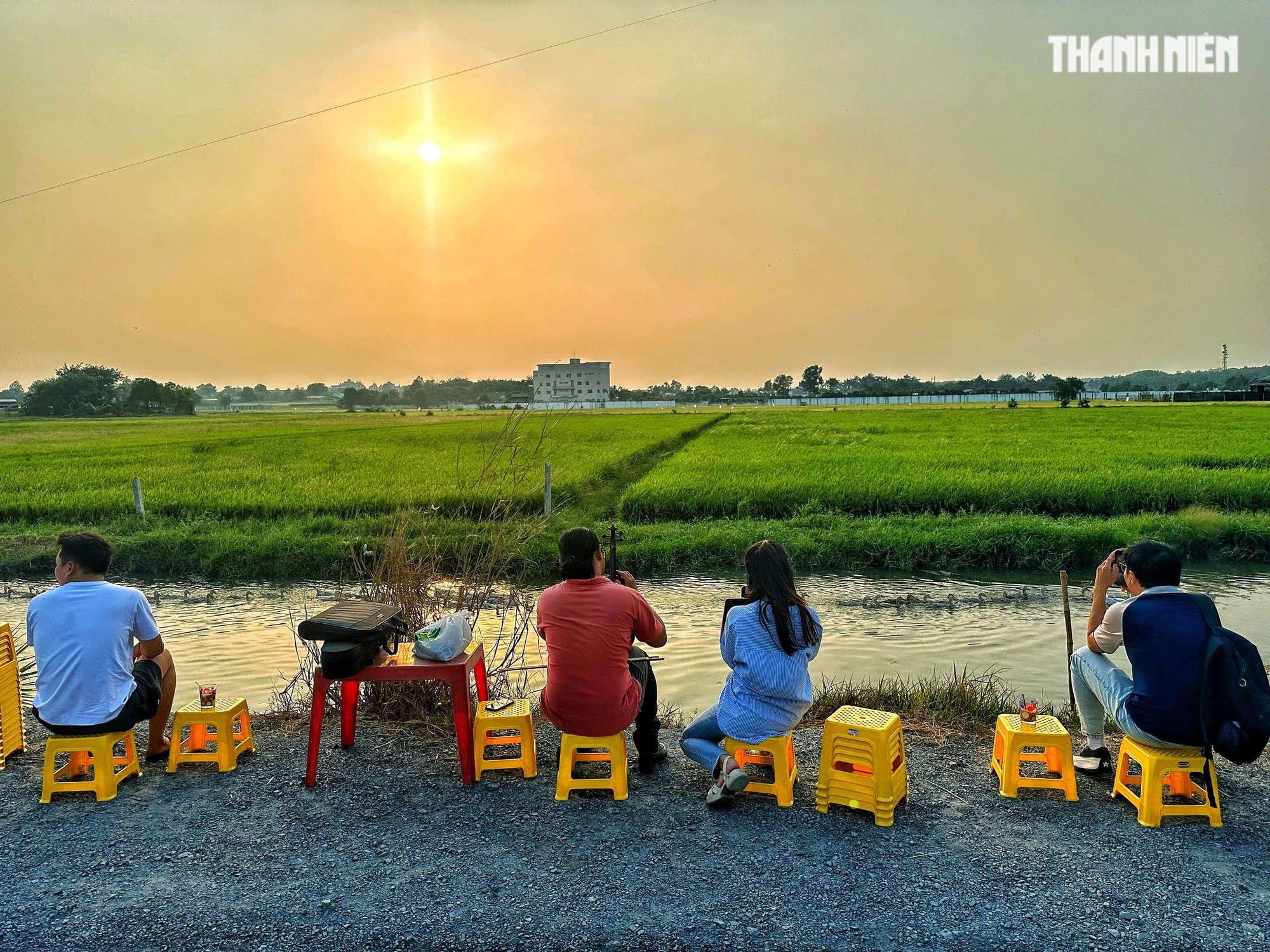 Cà phê ở TP.HCM ngắm hoàng hôn giữa đồng lúa 'bên xanh mướt, bên chín vàng'- Ảnh 3.