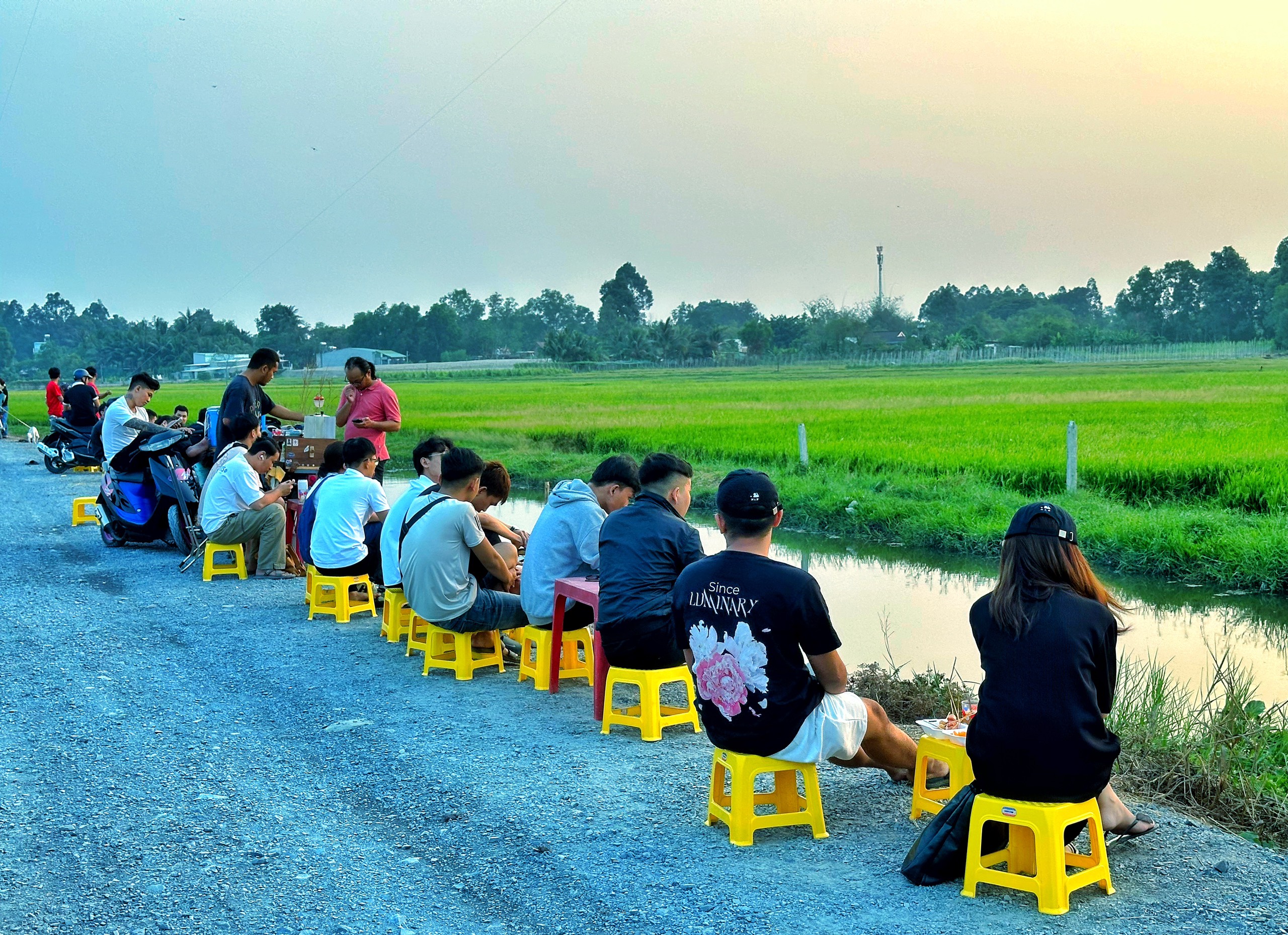 Cà phê ở TP.HCM ngắm hoàng hôn giữa đồng lúa 'bên xanh mướt, bên chín vàng'- Ảnh 15.