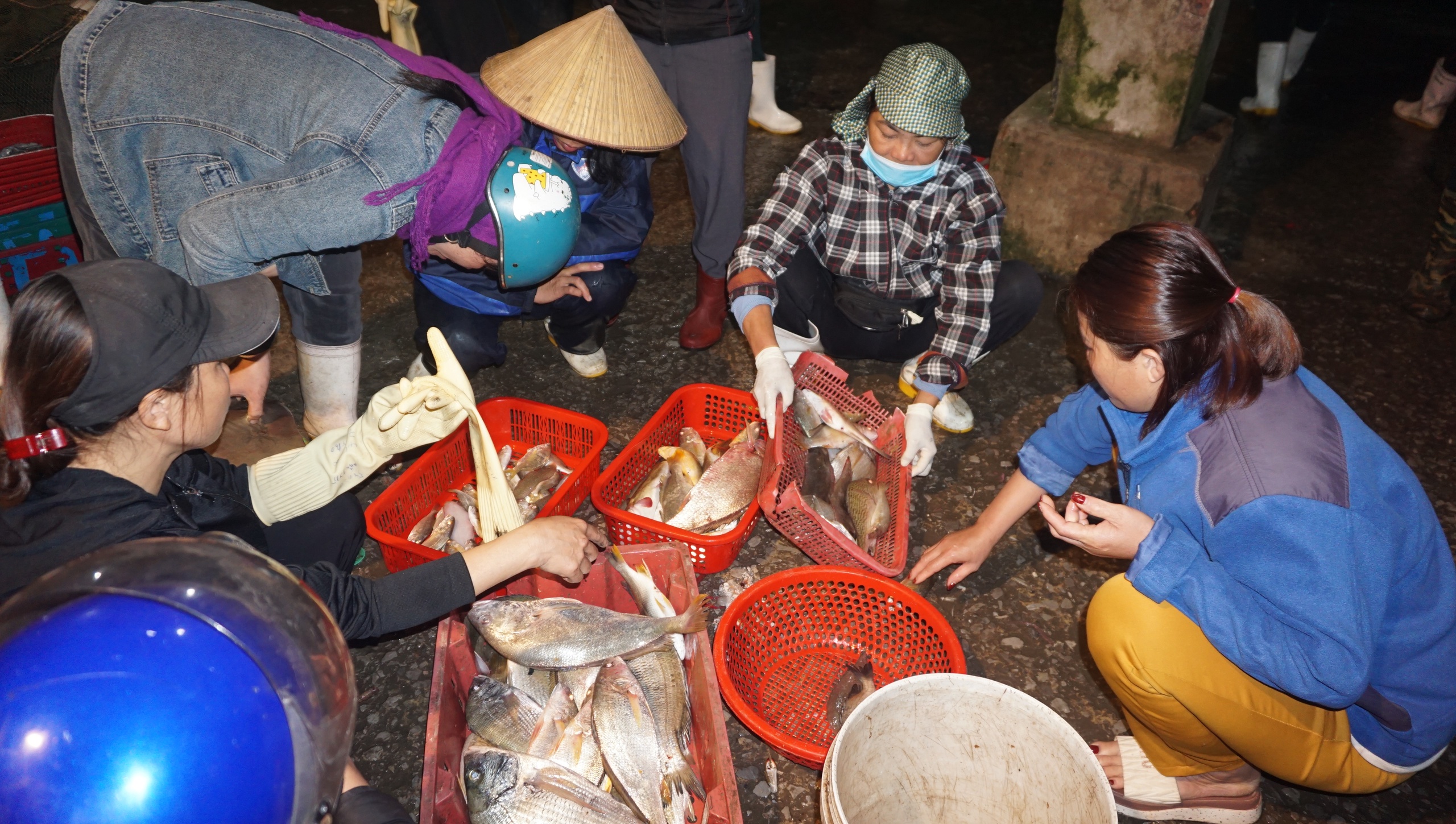 Chợ cá Hải Bình tấp nập trong đêm- Ảnh 3.