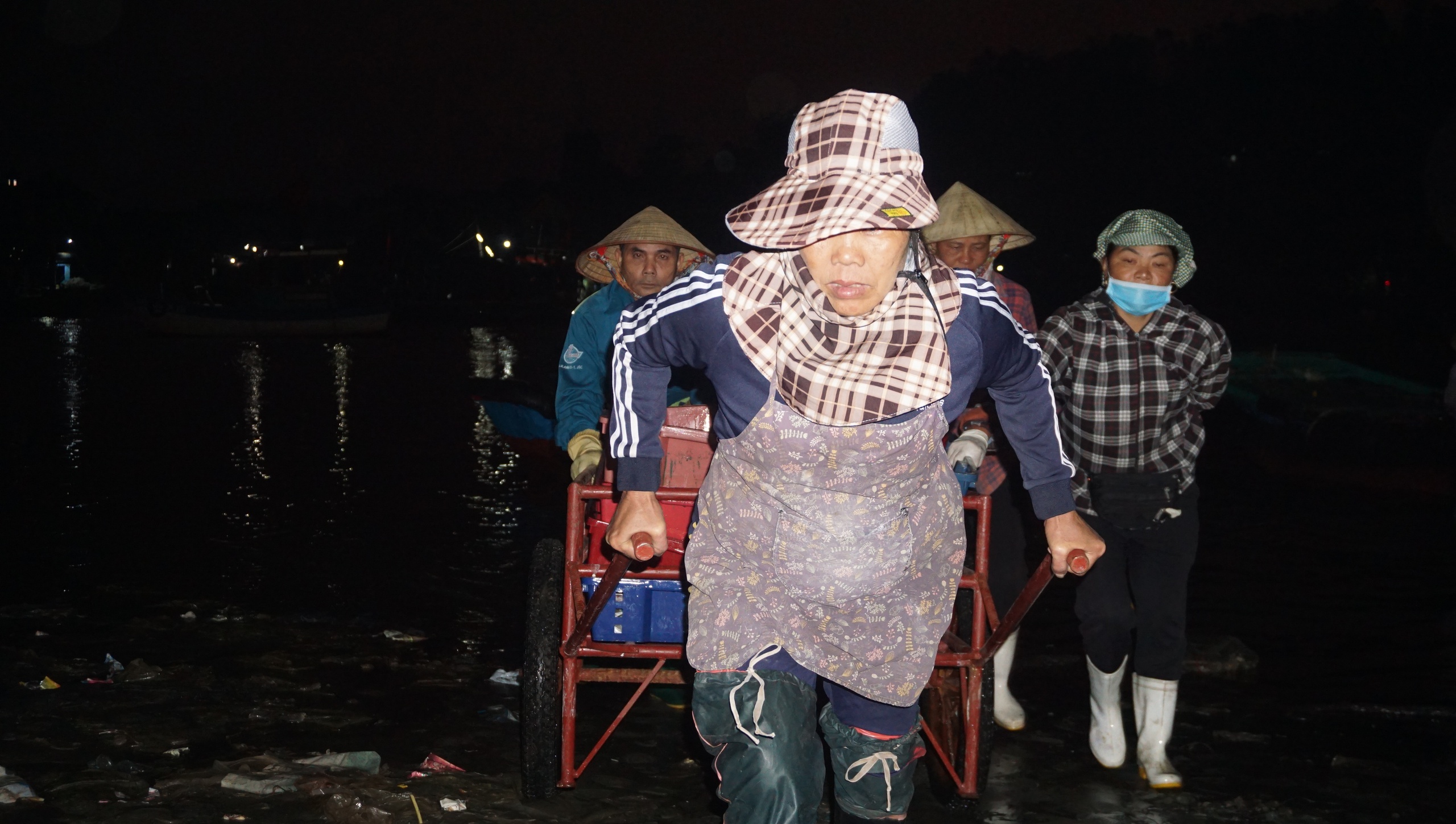 Chợ cá Hải Bình tấp nập trong đêm- Ảnh 14.
