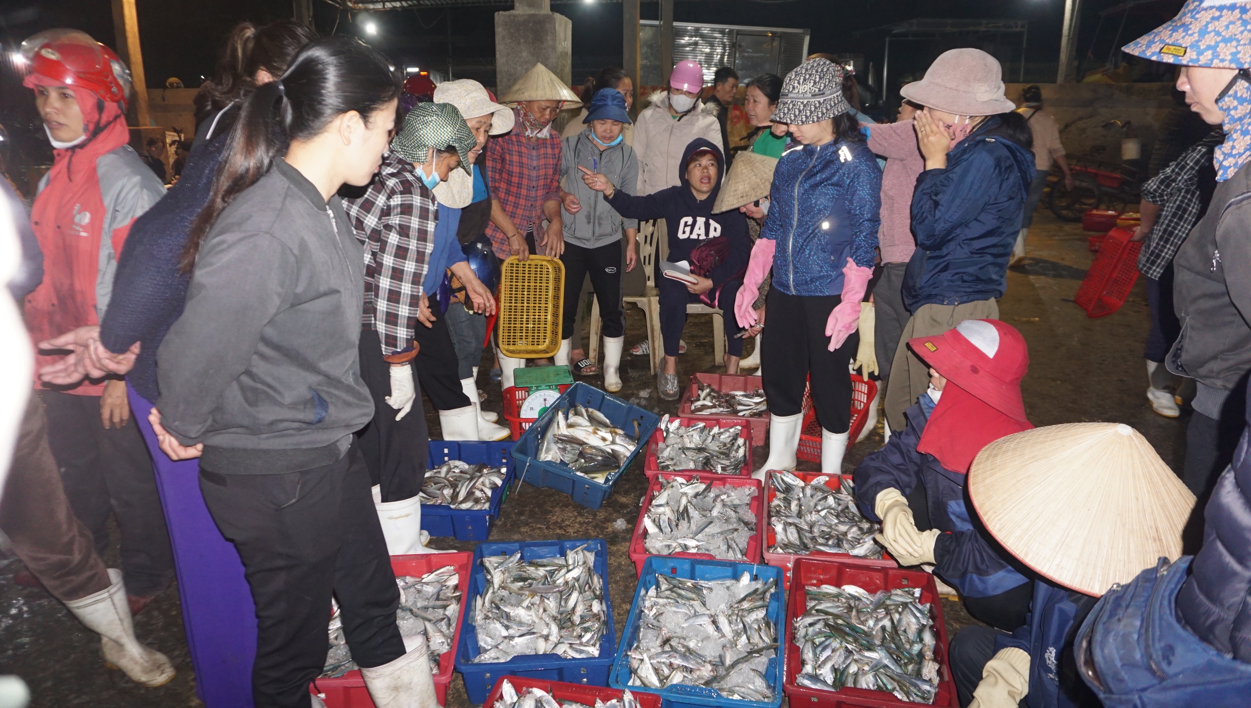 Chợ cá Hải Bình tấp nập trong đêm- Ảnh 15.