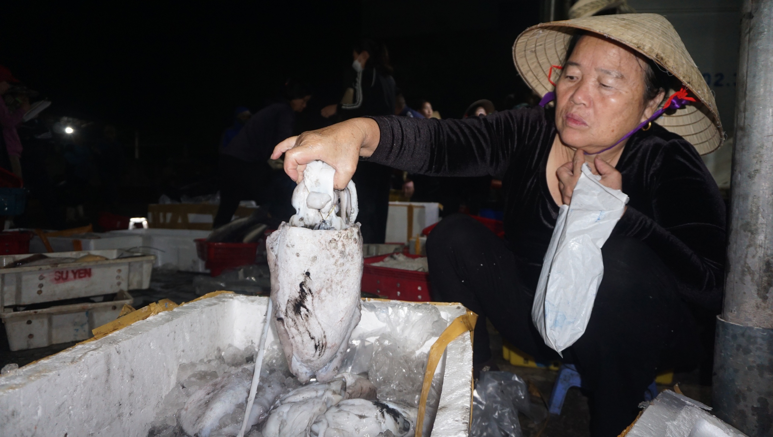 Chợ cá Hải Bình tấp nập trong đêm- Ảnh 11.