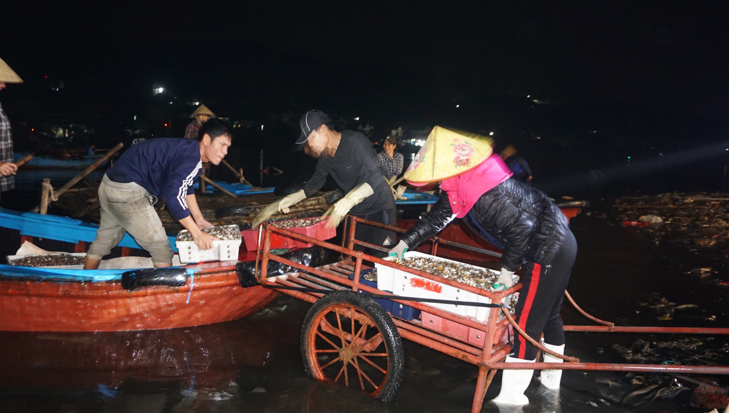 Chợ cá Hải Bình tấp nập trong đêm- Ảnh 1.