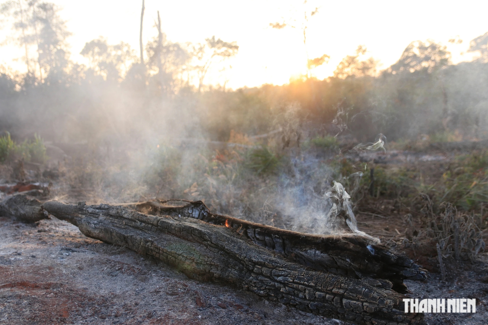 Đắk Nông: Cấm sử dụng lửa trong rừng vào những ngày hanh khô, nắng nóng cao điểm- Ảnh 1.