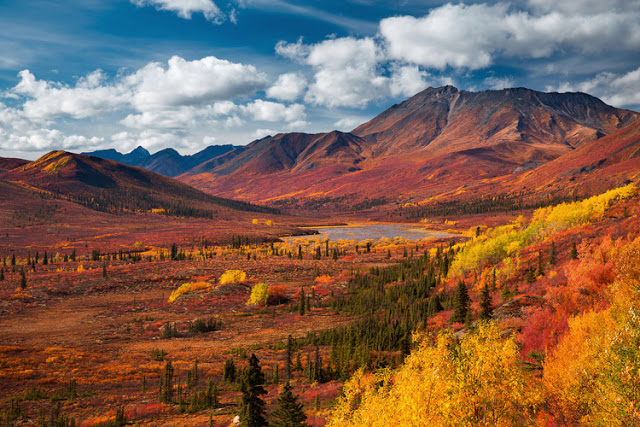 Du lịch Canada, du khách yêu thích các điểm 'check in' sau- Ảnh 1.