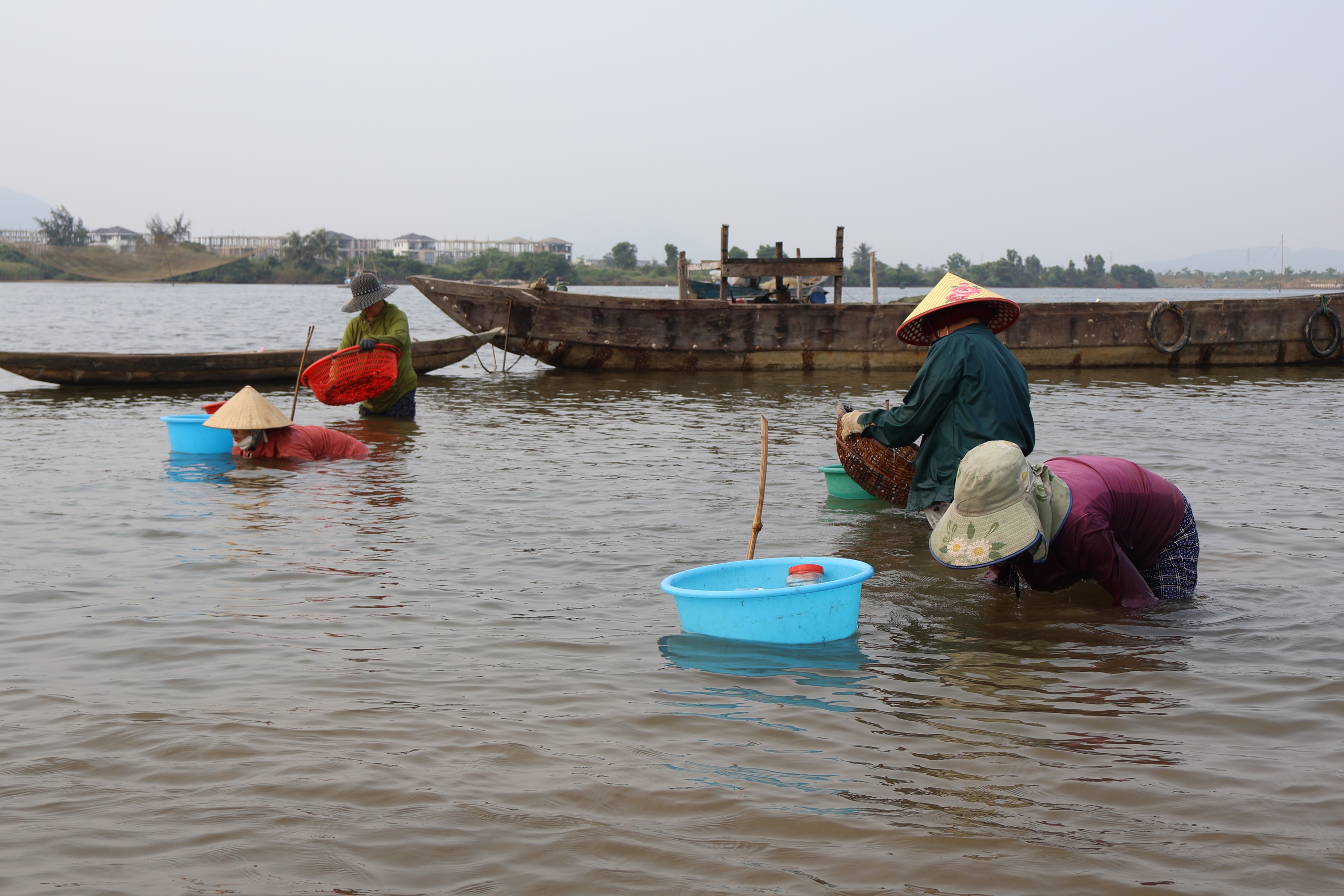 Thủy triều rút, hàng chục người dân tại P.Hòa Hiệp Bắc (Q.Liên Chiểu, TP.Đà Nẵng) lội nước, ngâm mình mò chem chép