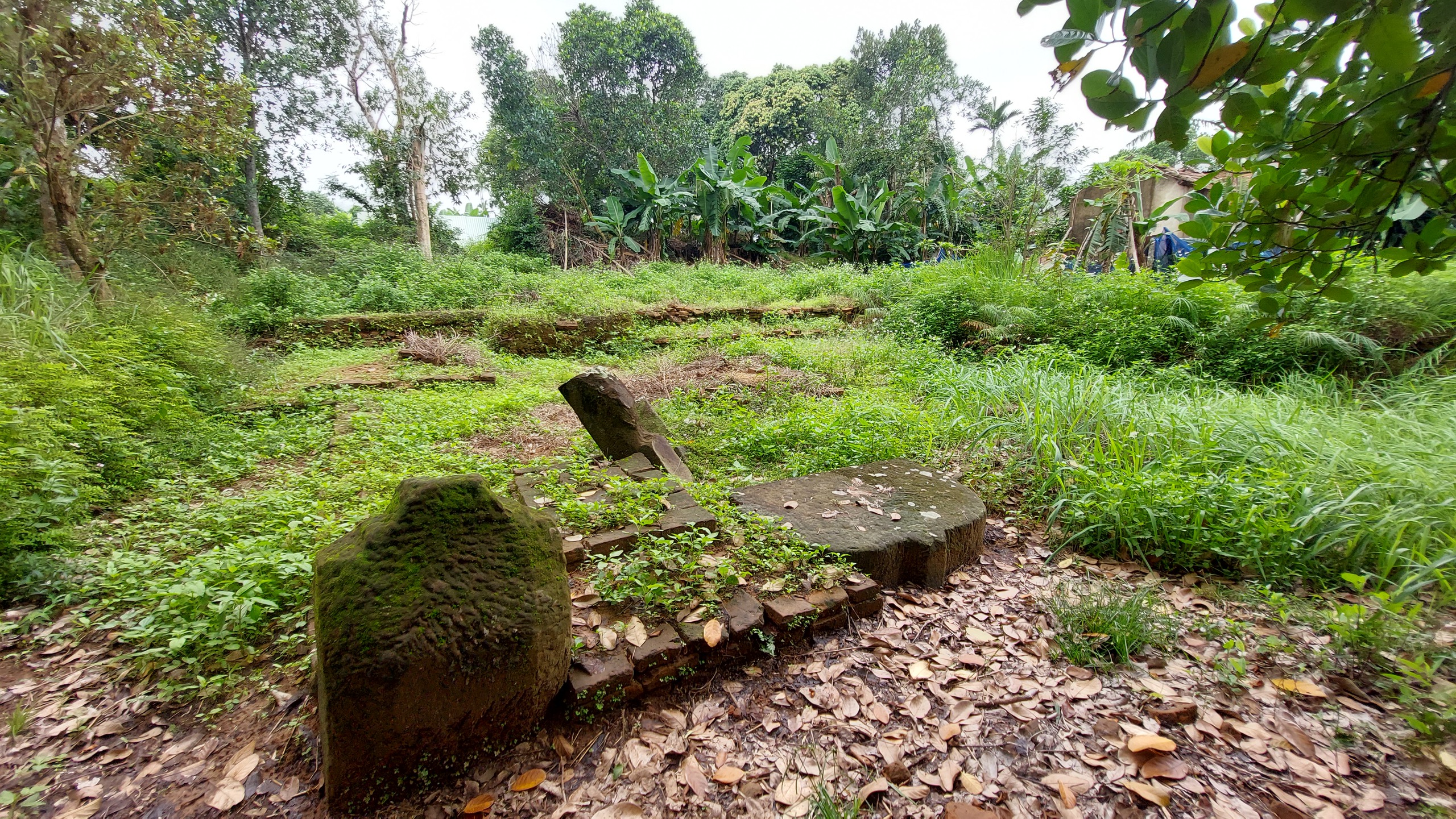 Di tích khảo cổ Chqmw Phong Lệ rơi vào cảnh hoang hóa do dự án Bảo tàng Điêu khắc Chăm cơ sở 2 – giai đoạn 1 chậm tiến độ