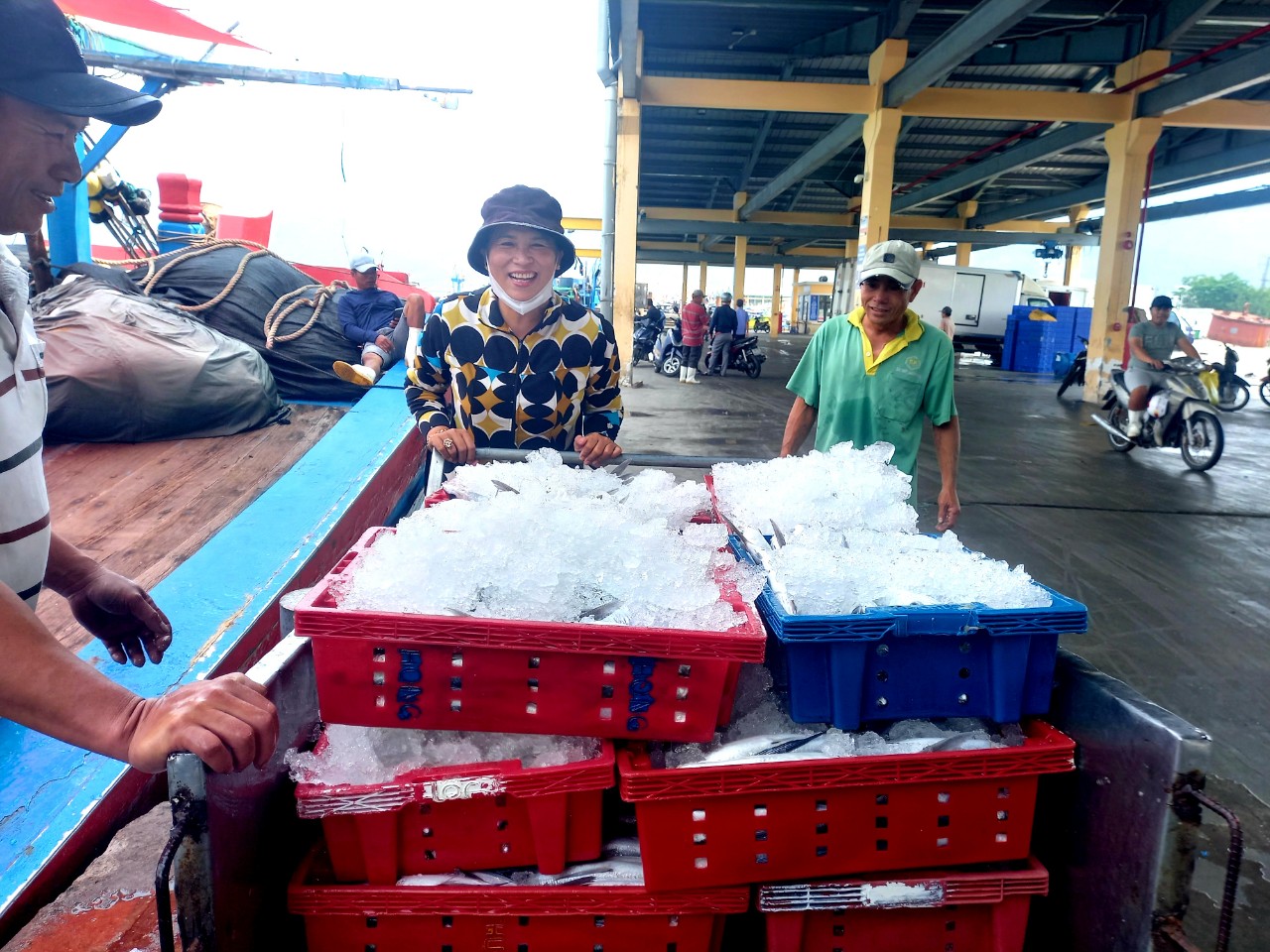 Phần lớn cá chuồn đánh bắt về được bỏ sỉ cho các thương lái tại cảng cá Thọ Quang