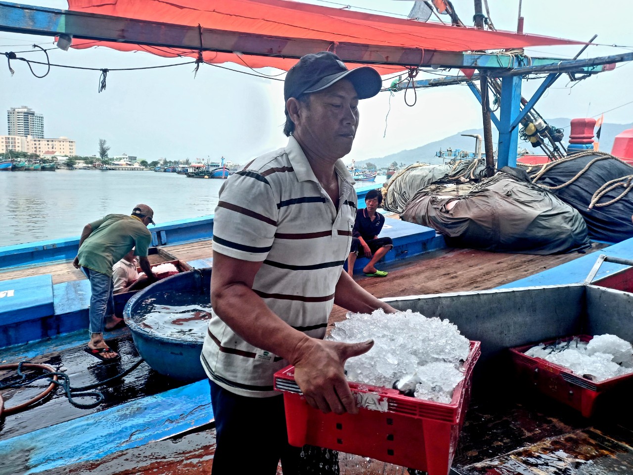 Năm nay sản lượng nhiều, thu nhập ổn định nên ông Nguyễn Minh Mẫn và các bạn thuyền rất phấn khởi bám biển
