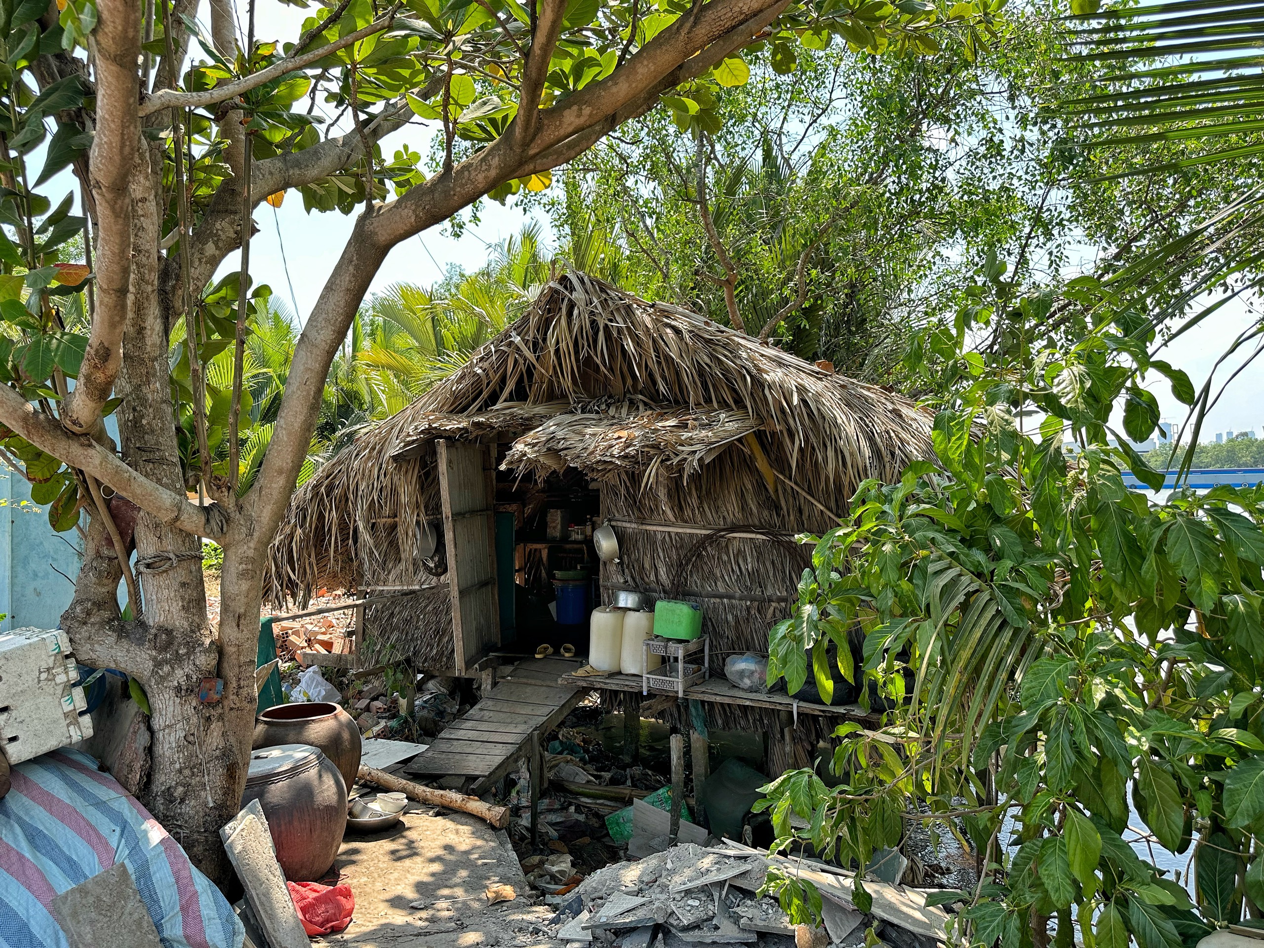 Những căn nhà lá ven sông Sài Gòn, cạnh những rặng dừa nước bỗng thành nơi trốn nắng lý tưởng của nhiều người