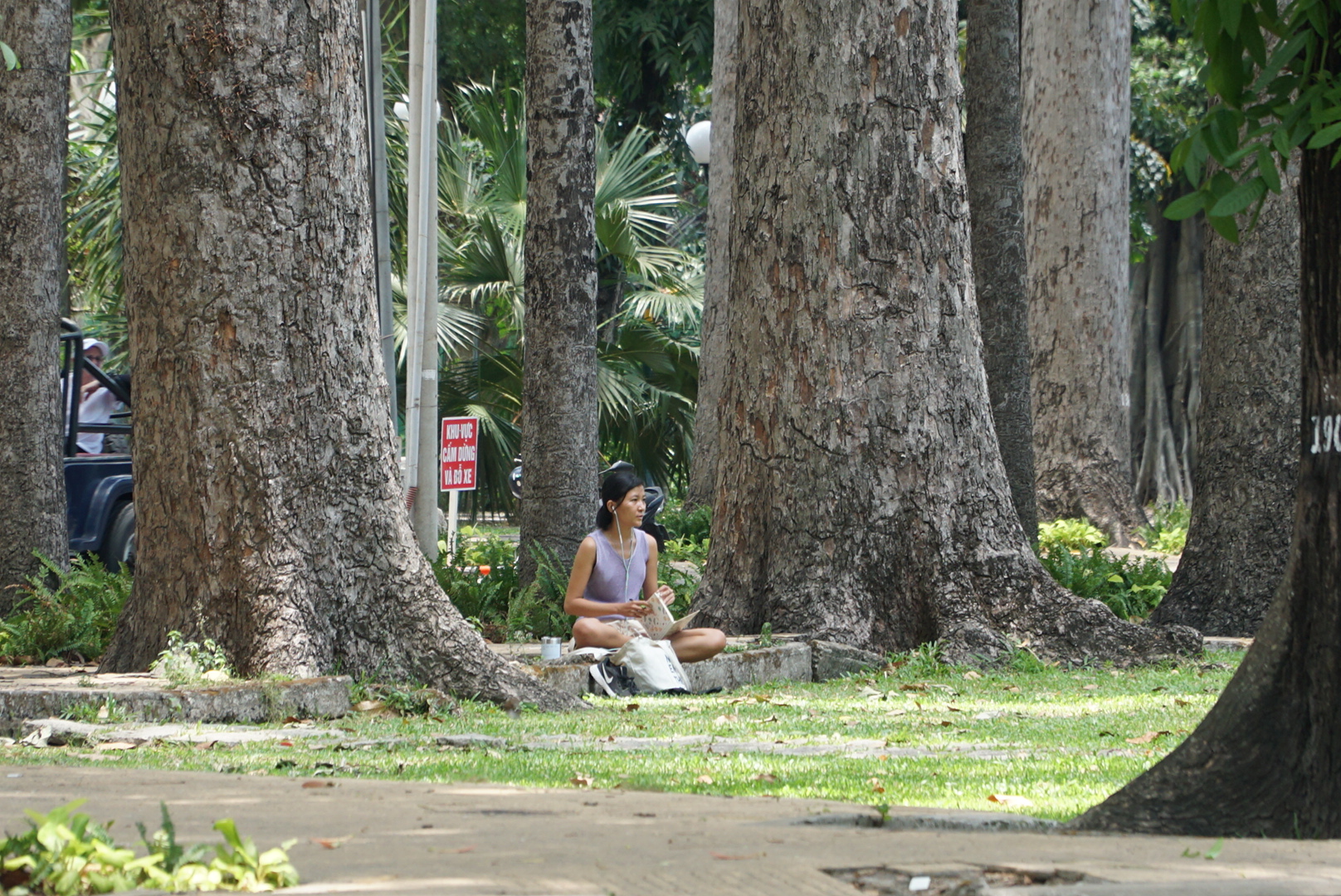 Phương Mai chọn ngồi dưới gốc cây lớn để đọc sách