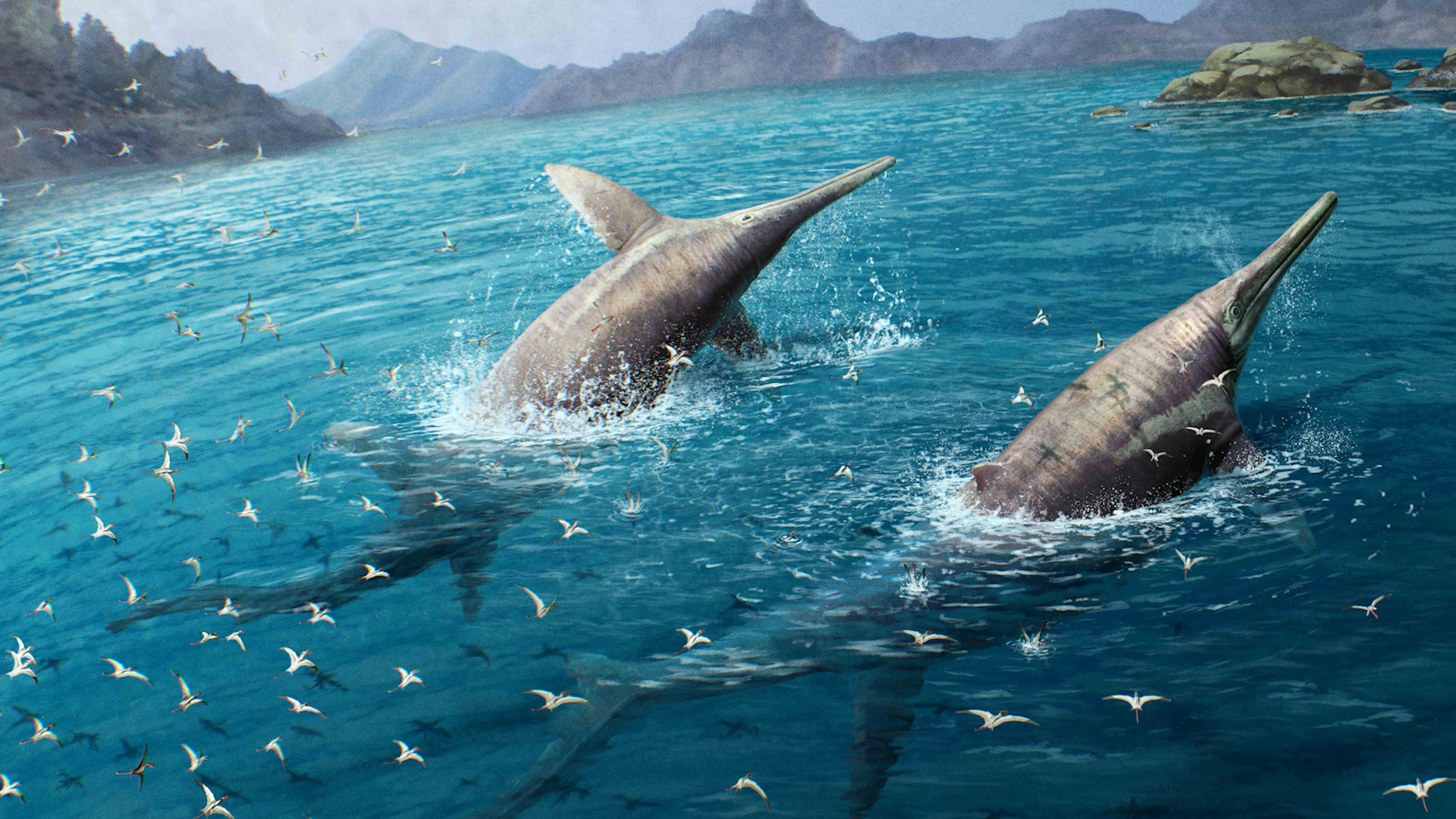 Ảnh đồ họa một cặp Ichthyotitan severnensis, loài bò sát biển mới được xác định sống cách đây 202 triệu năm dựa trên hóa thạch được phát hiện tại Somerset (Anh)