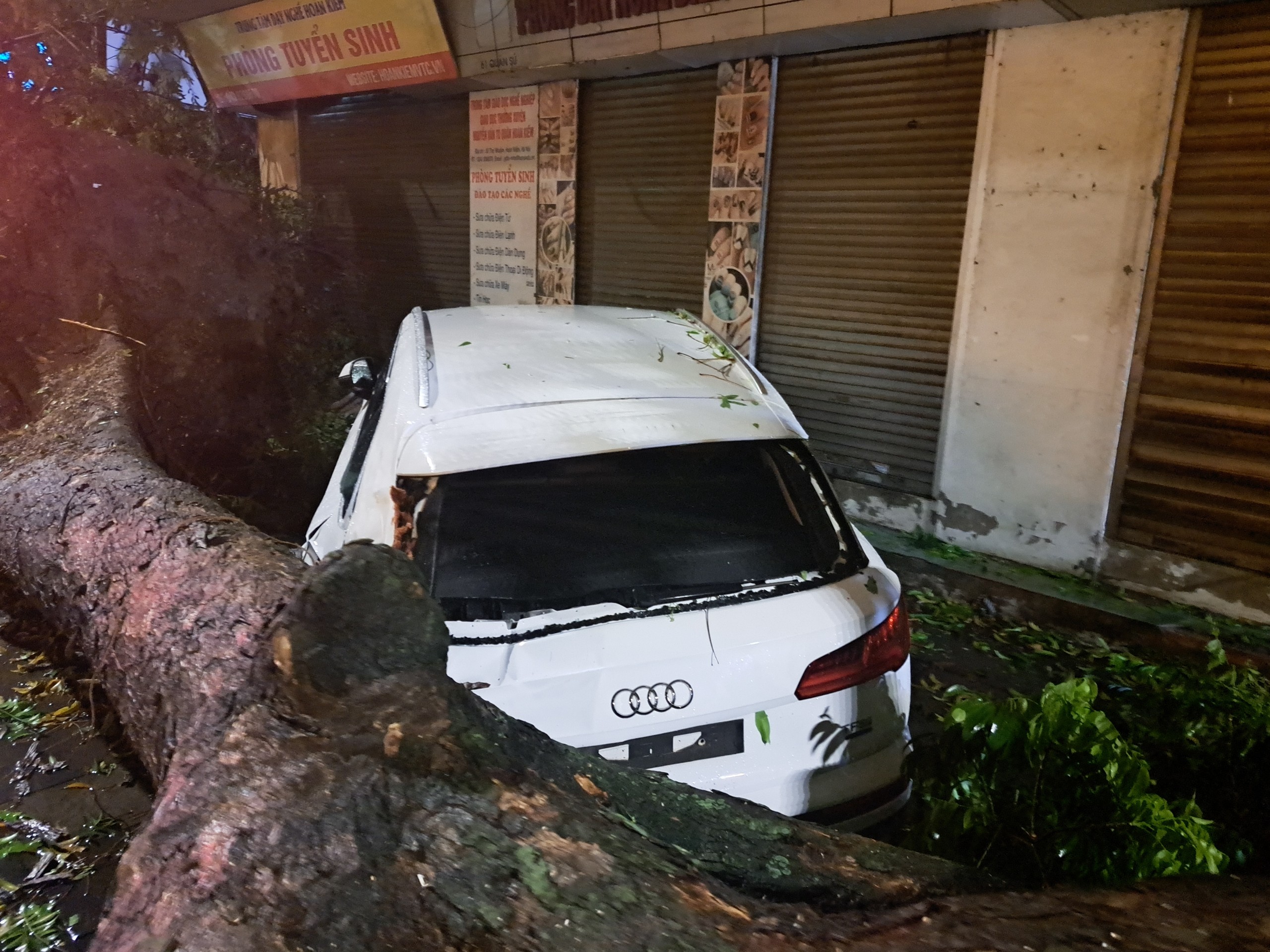 Cây xanh ngã đổ, đè ô tô trên phố ở Hà Nội