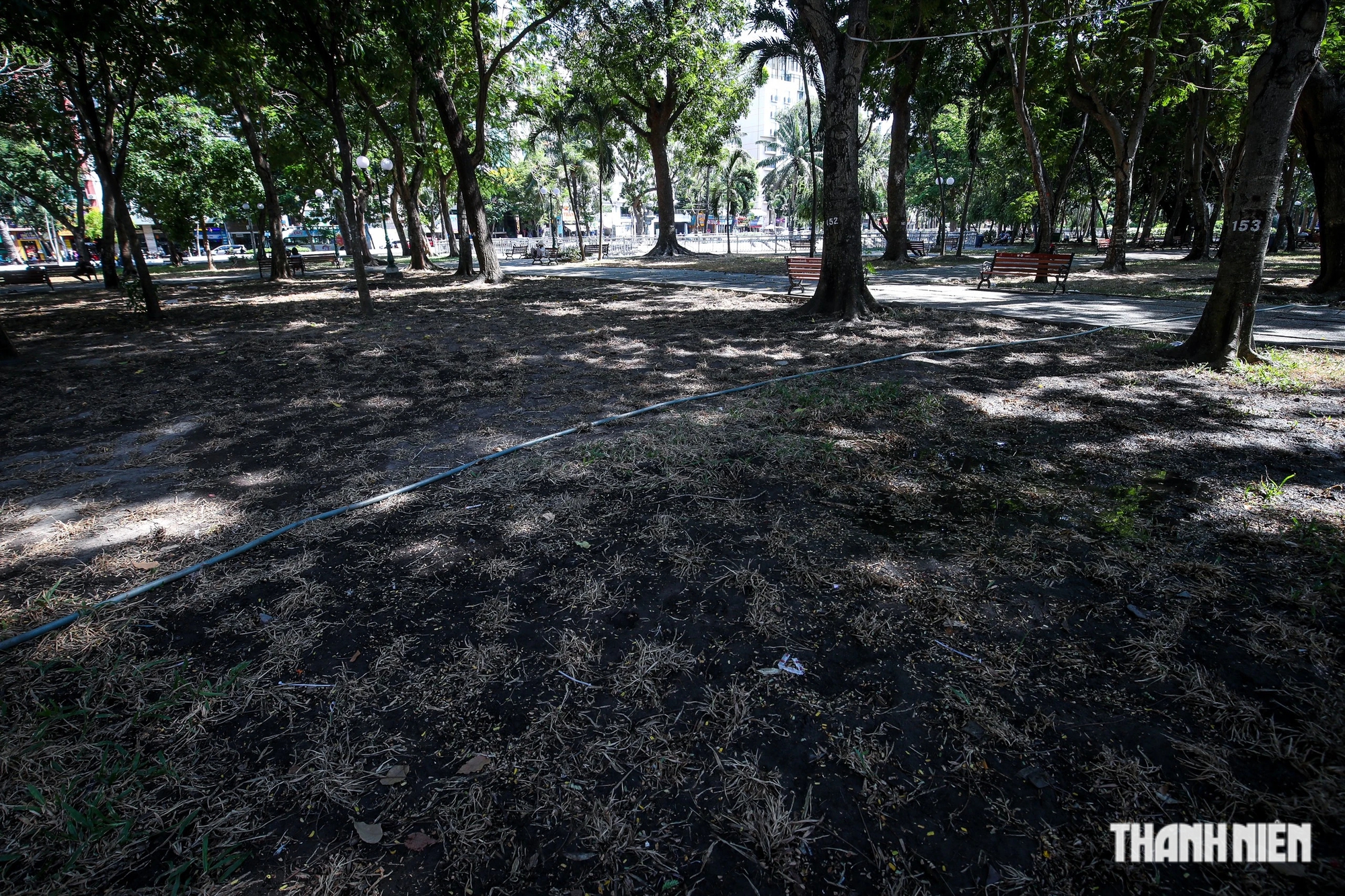 Thảm cỏ công viên 23 Tháng 9 trơ trụi sau Ngày hội Du lịch TP.HCM