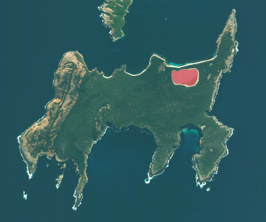 Đây không phải là phần nổi bật của Đảo Trung của Úc - đó là màu thực tế của hồ Hillier. Màu hồng bong bóng của hồ nước mặn được cho là do các vi sinh vật sống bên trong tạo ra