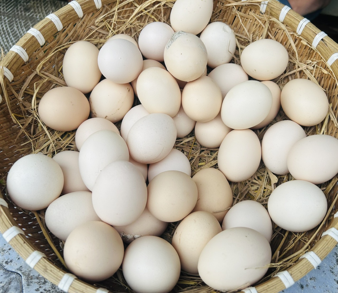 Bác sĩ chia sẻ chế độ ăn giúp kiểm soát huyết áp cao- Ảnh 2. Ăn đủ lượng protein chất lượng cao như cá, trứng, sữa